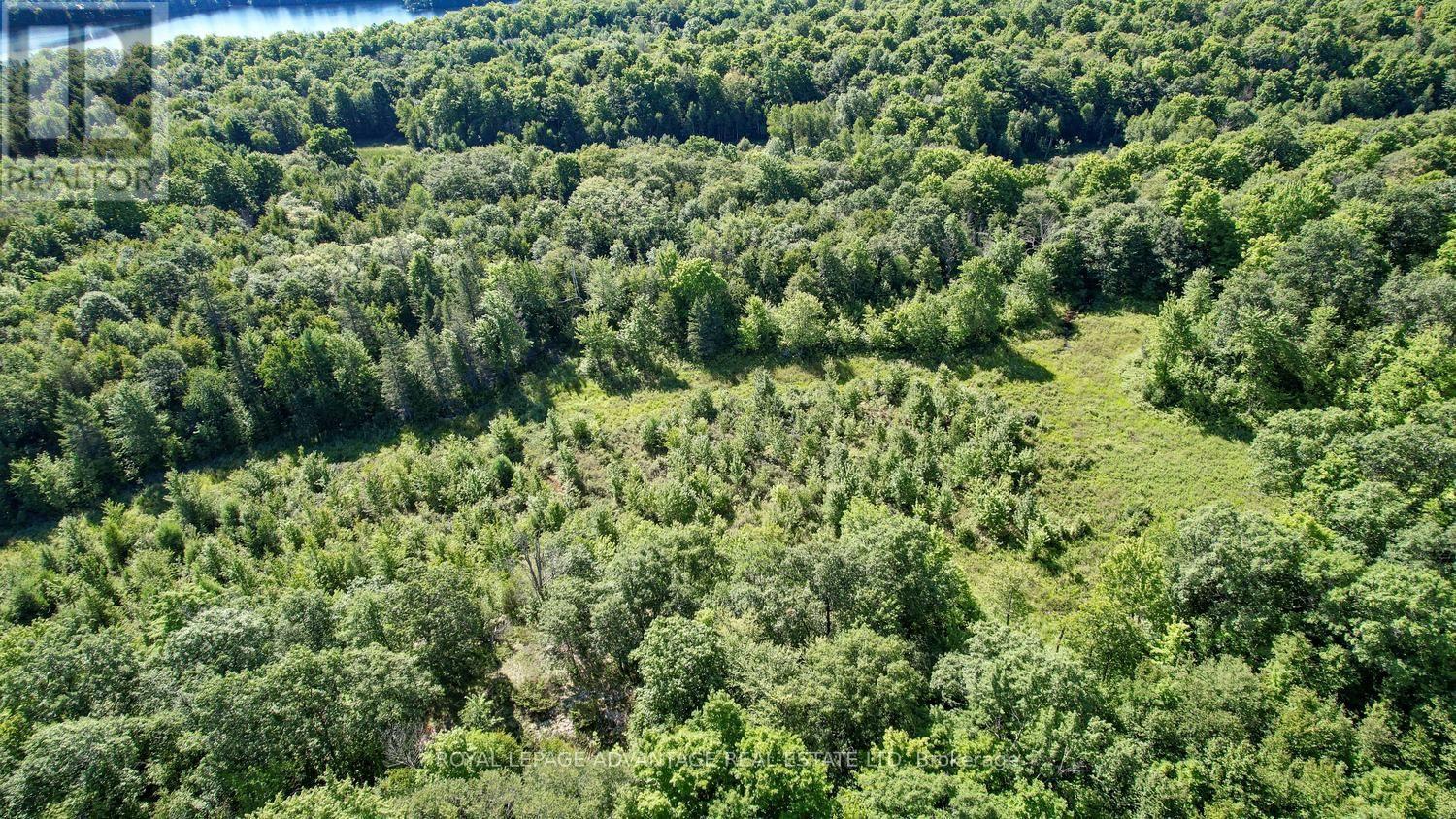0 Scotch Line Road, Rideau Lakes, Ontario  K7H 3C5 - Photo 32 - X13647000