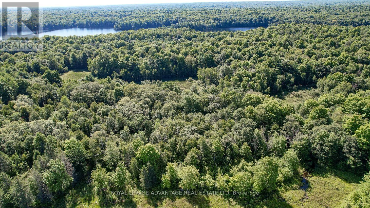 0 Scotch Line Road, Rideau Lakes, Ontario  K7H 3C5 - Photo 34 - X13647000