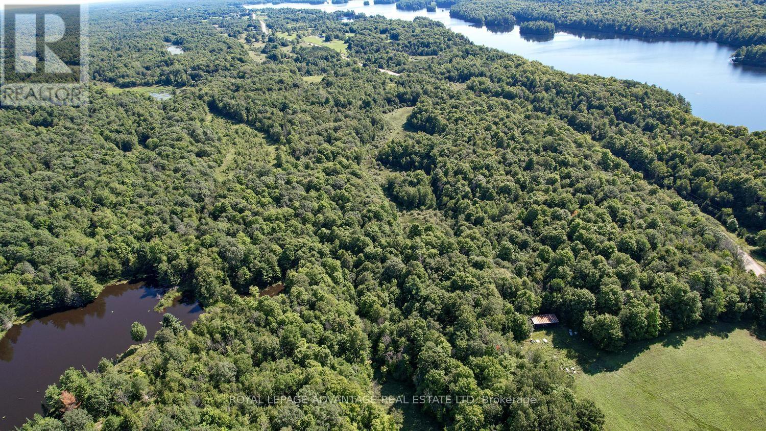 0 Scotch Line Road, Rideau Lakes, Ontario  K7H 3C5 - Photo 7 - X13647000