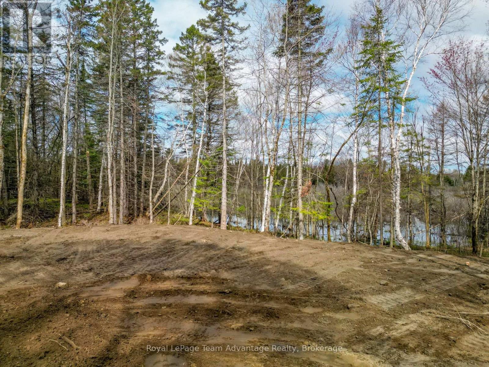 0 Centre Road W, Mckellar, Ontario  P0G 1C0 - Photo 12 - X13647046