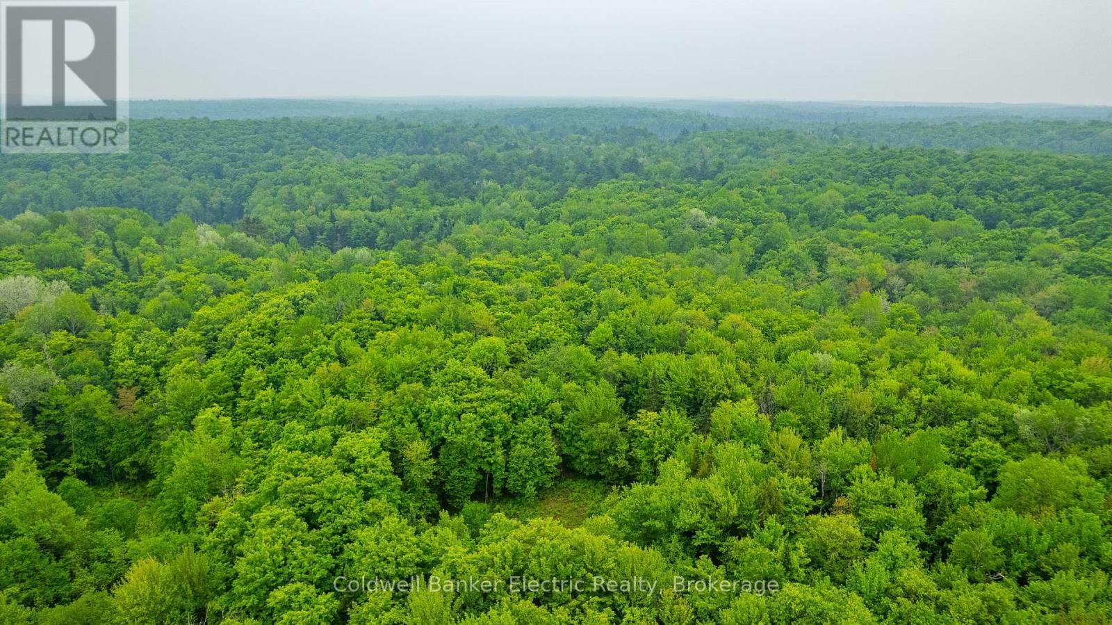 1304 Lower Monmouth Lake Road, Highlands East, Ontario  K0L 2Y0 - Photo 23 - X13646882