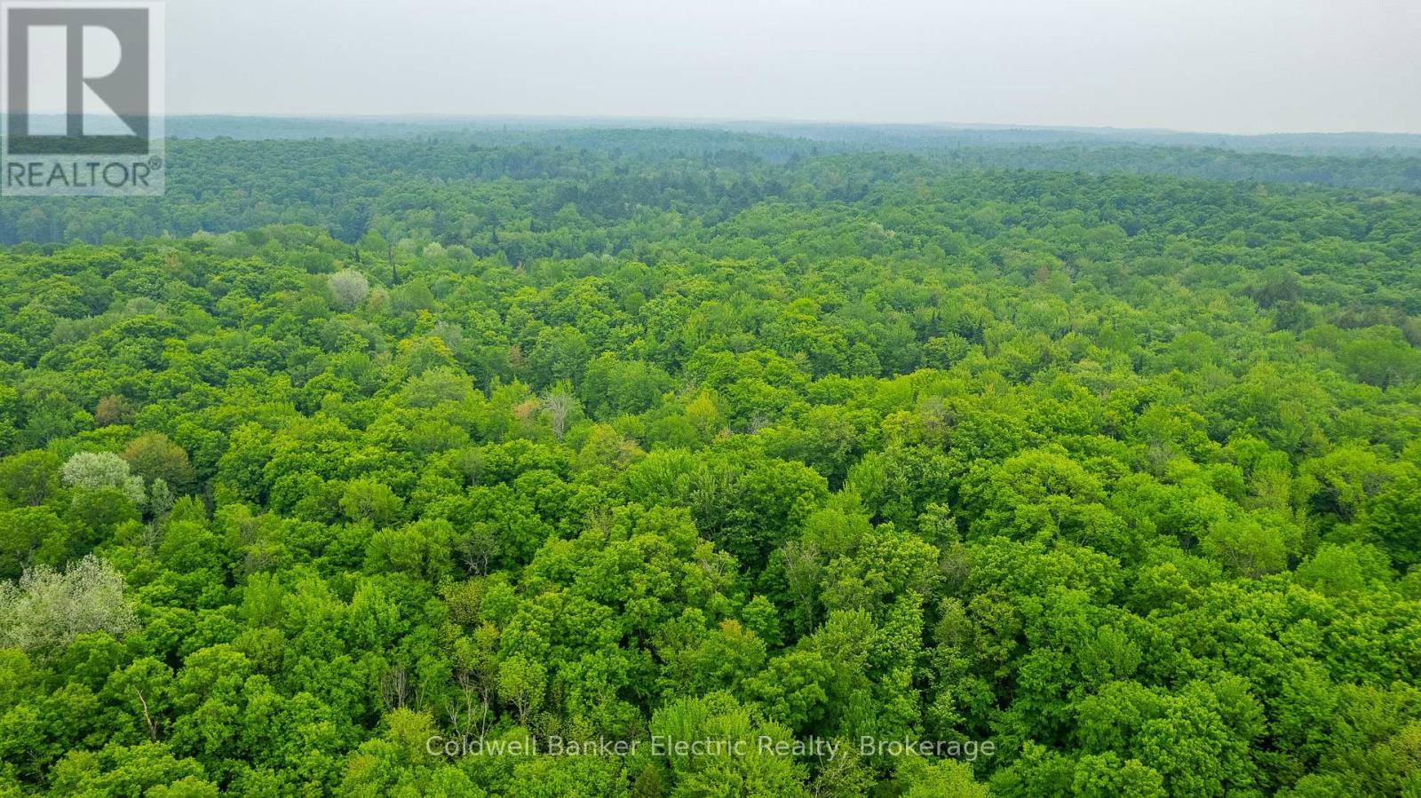 1304 Lower Monmouth Lake Road, Highlands East, Ontario  K0L 2Y0 - Photo 24 - X13646882
