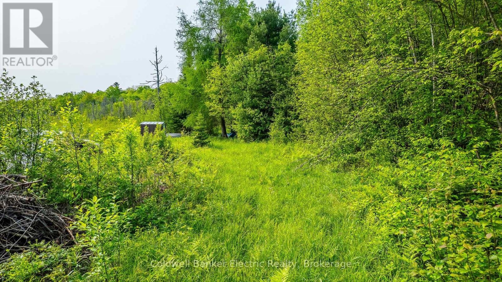 1304 Lower Monmouth Lake Road, Highlands East, Ontario  K0L 2Y0 - Photo 41 - X13646882