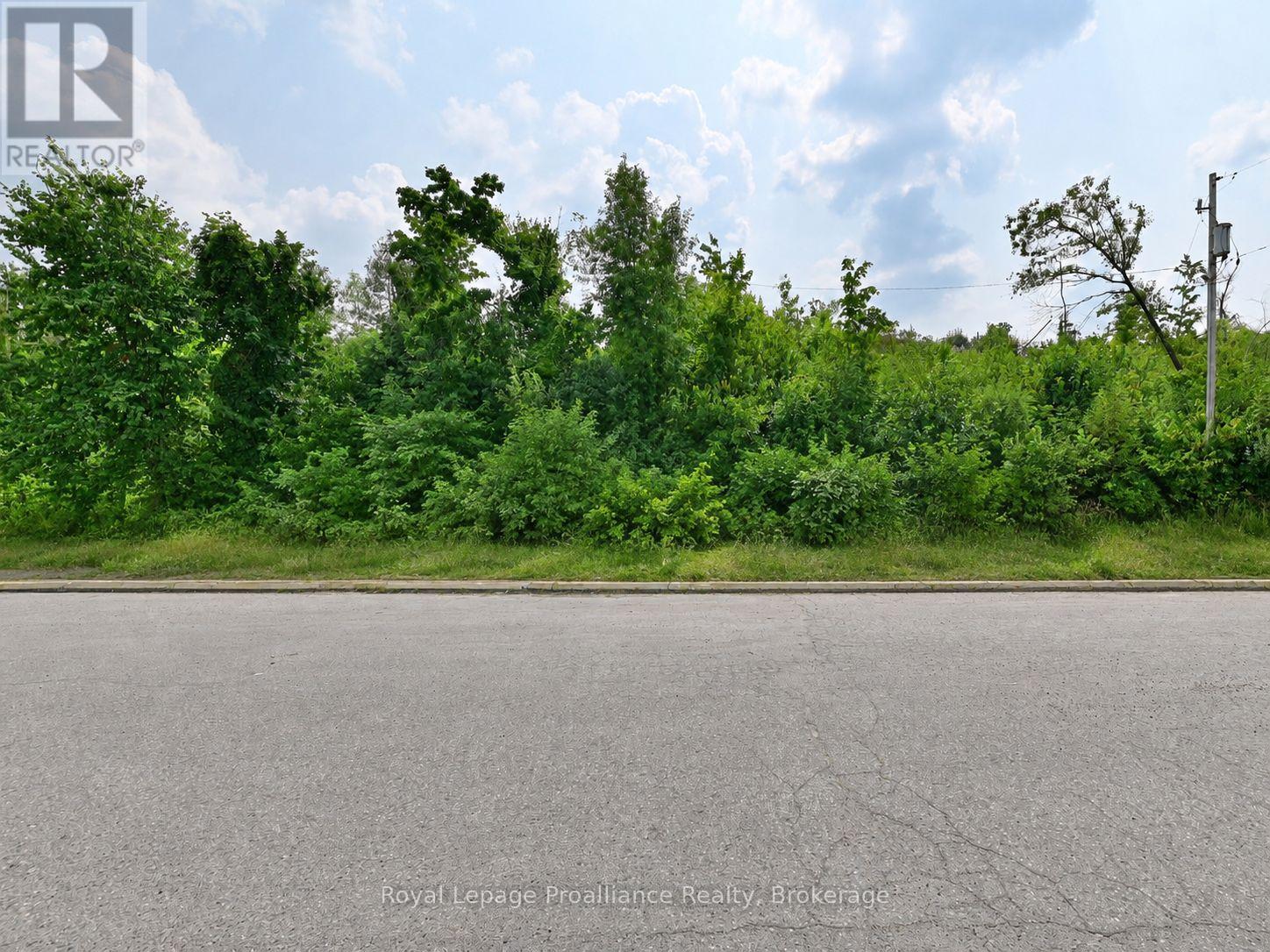 109772 Highway 7, Tweed, Ontario  K0K 3J0 - Photo 3 - X13646928