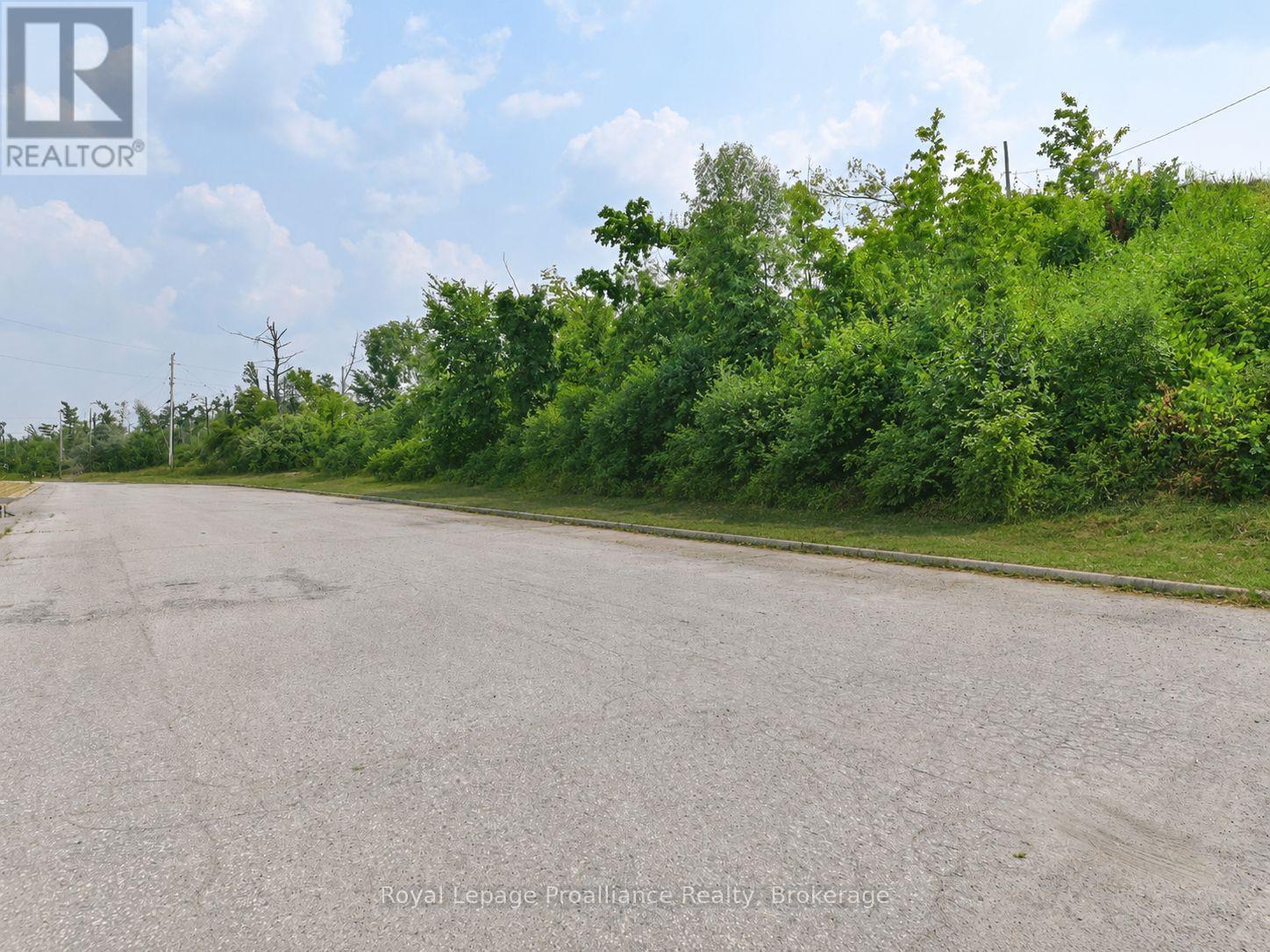 109772 Highway 7, Tweed, Ontario  K0K 3J0 - Photo 4 - X13646928