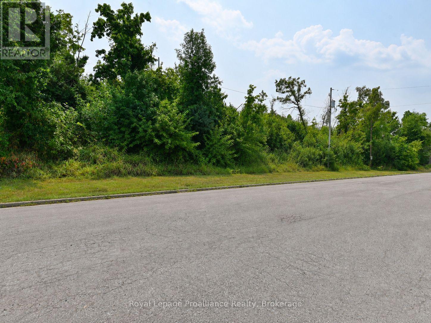 109772 Highway 7, Tweed, Ontario  K0K 3J0 - Photo 5 - X13646928