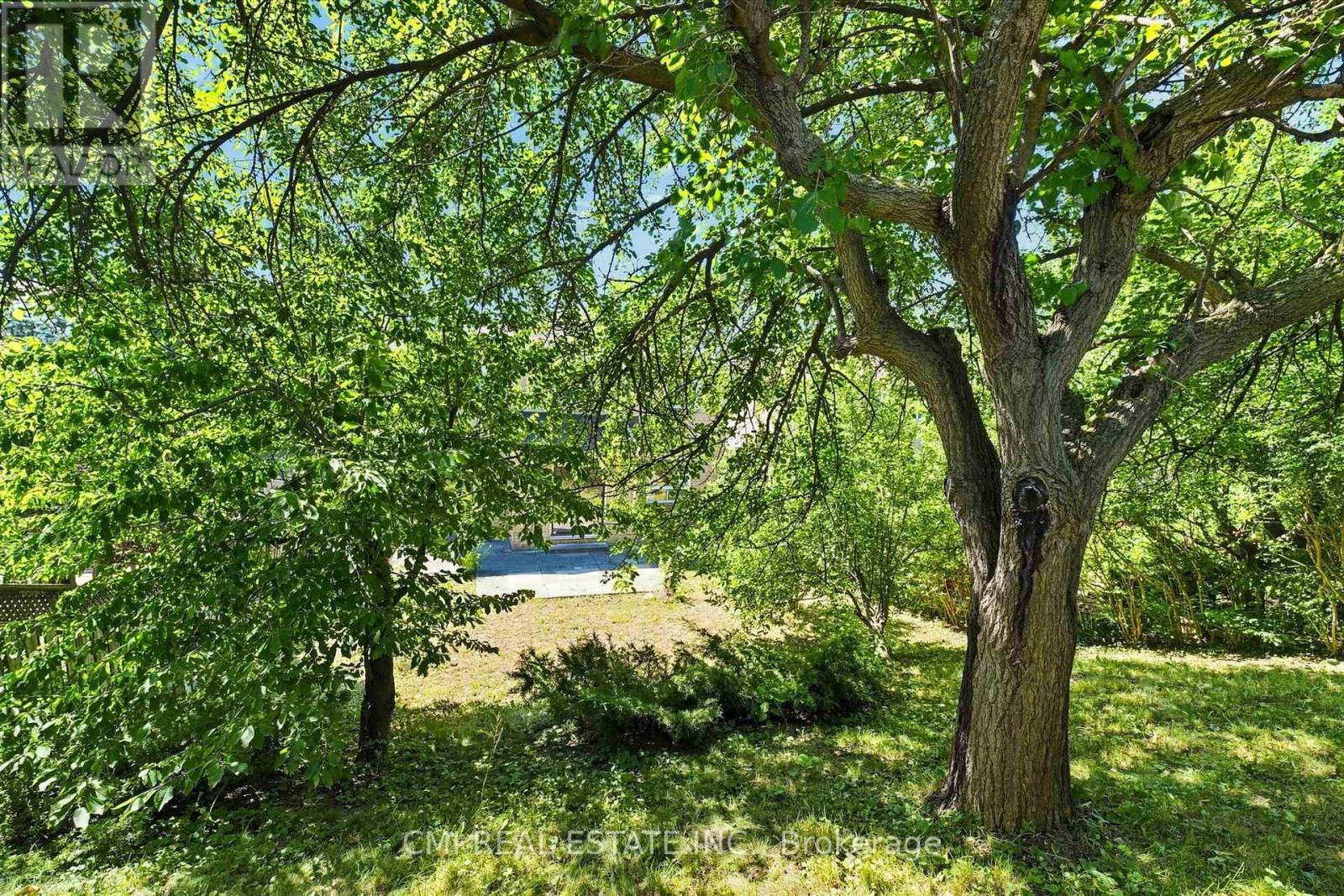 127 O'connor Crescent, Richmond Hill, Ontario  L4C 7R7 - Photo 39 - N13647062