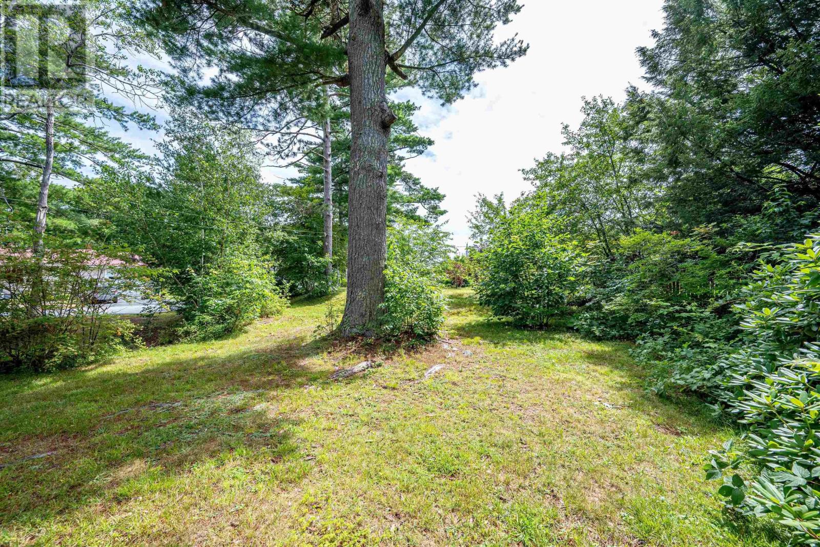 171 Empire Street, Bridgewater, Nova Scotia  B4V 2M3 - Photo 45 - 202618765