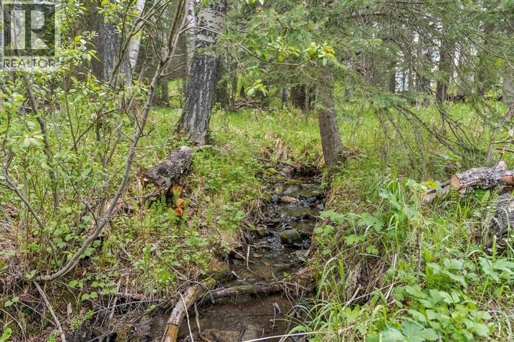 231028 Forestry Way, Rural Rocky View County, Alberta  T0L 0K0 - Photo 38 - A2316722