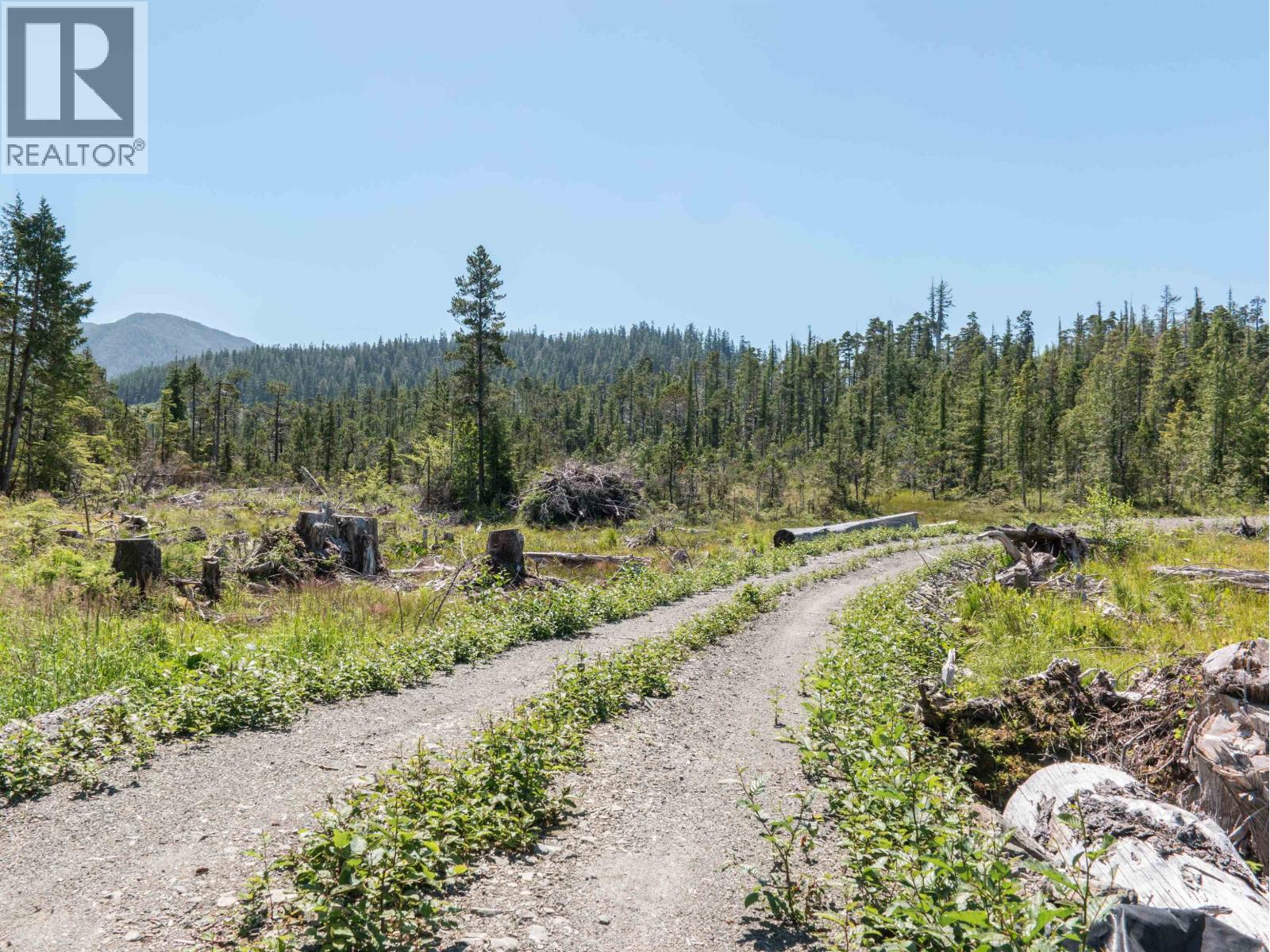 Dl 1669 Porcher Island, Prince George, British Columbia  V0E 1E0 - Photo 13 - R3153361