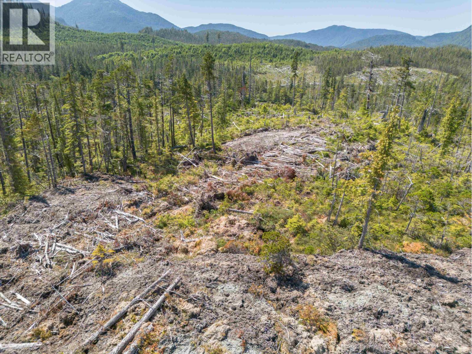 Dl 1669 Porcher Island, Prince George, British Columbia  V0E 1E0 - Photo 9 - R3153361