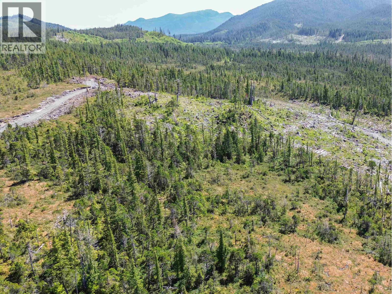 Dl 1669 Porcher Island, Prince George, British Columbia  V0E 1E0 - Photo 4 - R3153361