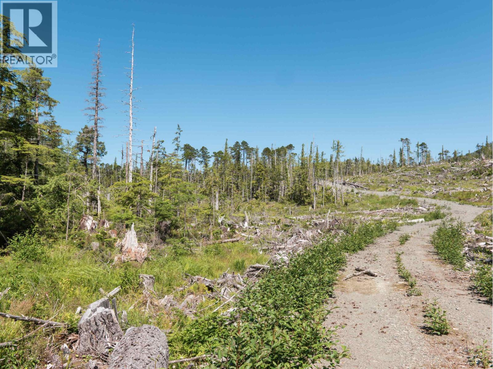 Dl 1669 Porcher Island, Prince George, British Columbia  V0E 1E0 - Photo 15 - R3153361