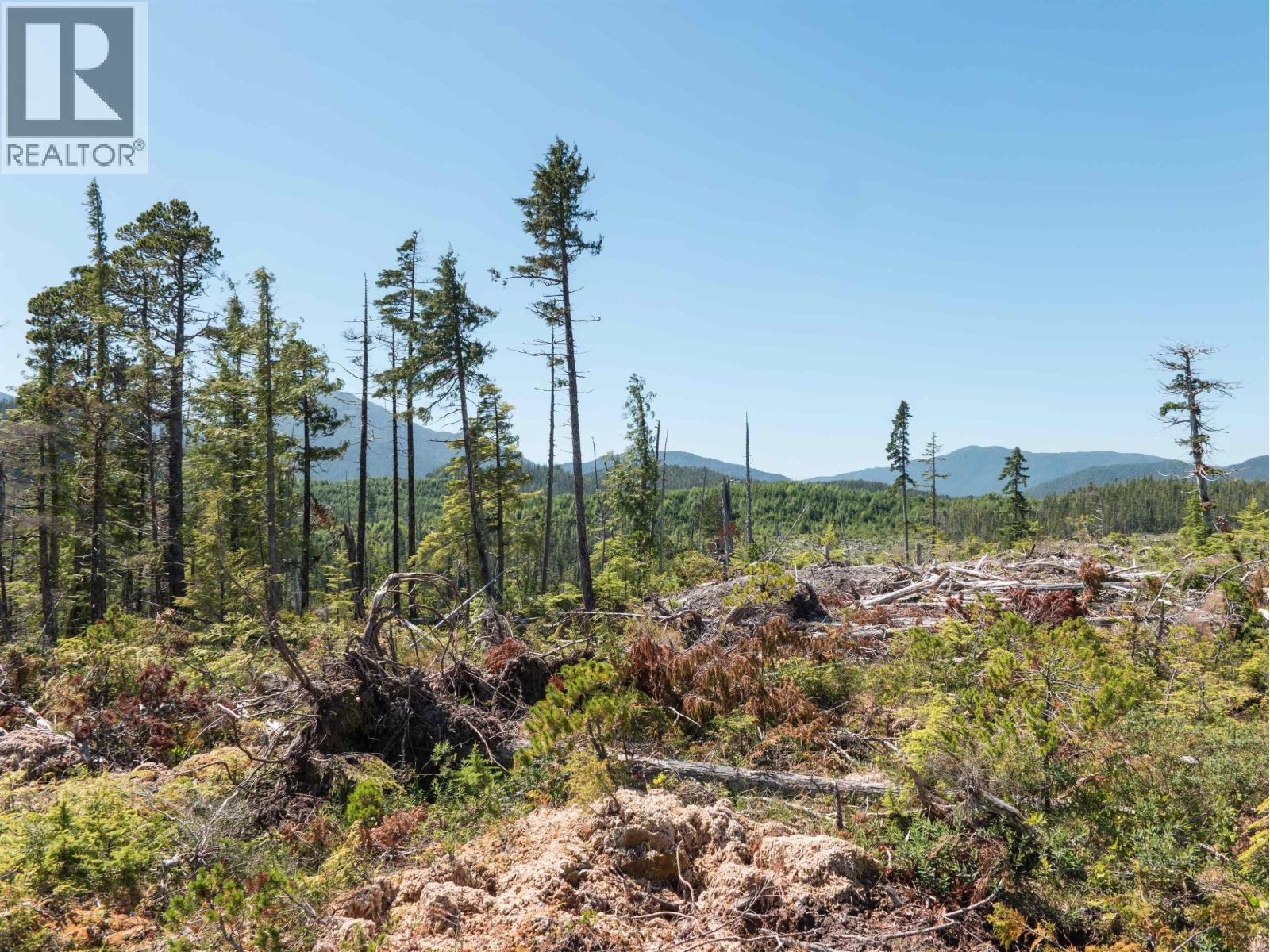 Dl 1669 Porcher Island, Prince George, British Columbia  V0E 1E0 - Photo 6 - R3153361