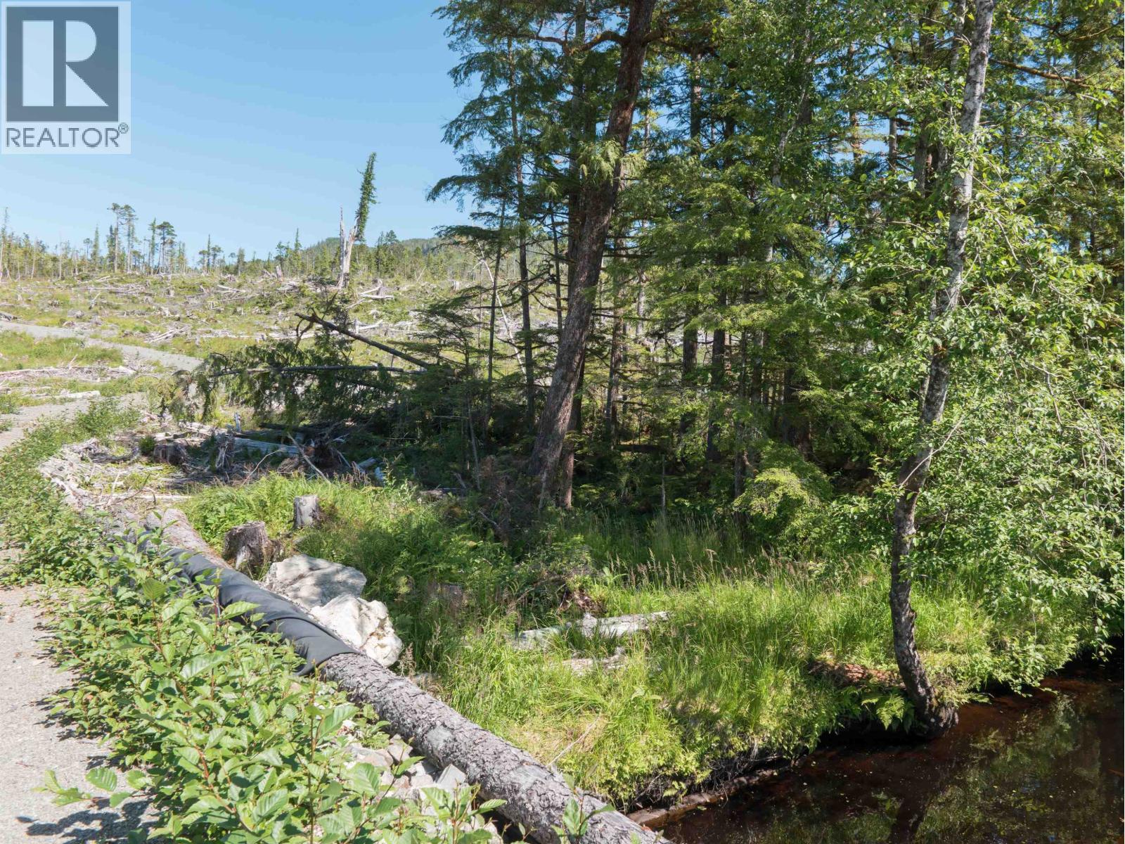 Dl 1669 Porcher Island, Prince George, British Columbia  V0E 1E0 - Photo 12 - R3153361