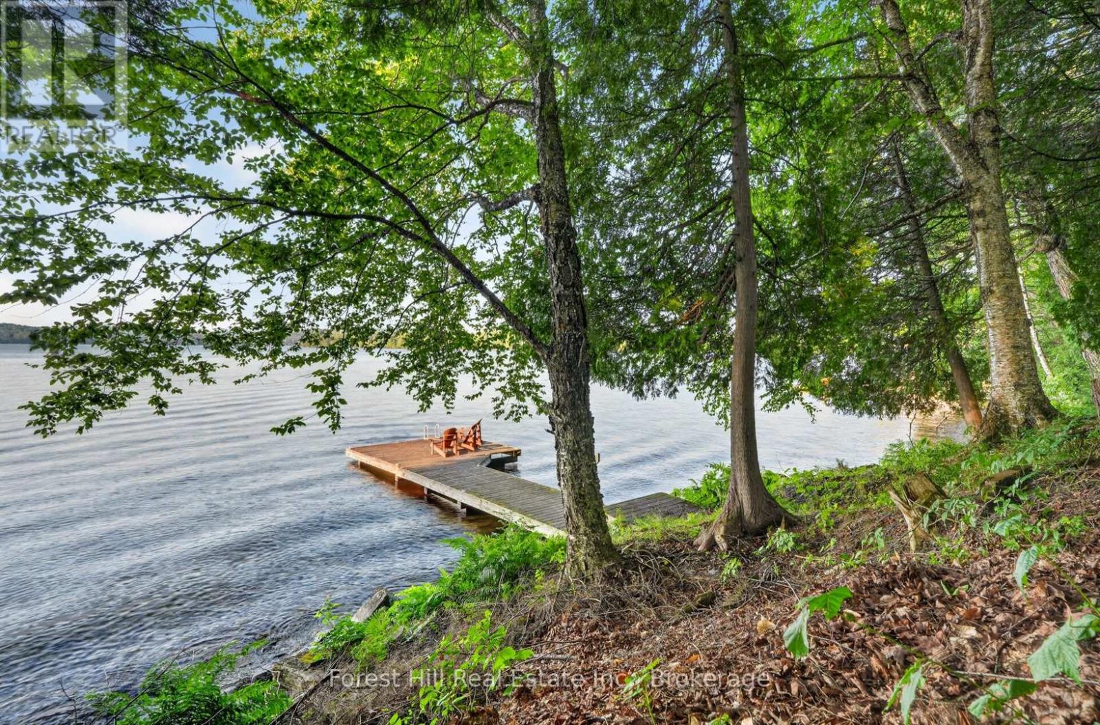 1110 Joseph Tapley Road, Lake Of Bays, Ontario  P0A 1H0 - Photo 28 - X13647530