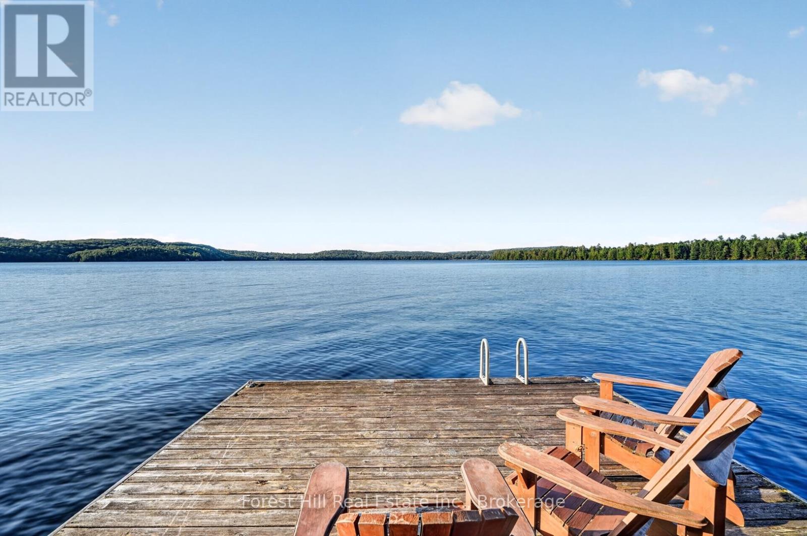1110 Joseph Tapley Road, Lake Of Bays, Ontario  P0A 1H0 - Photo 32 - X13647530