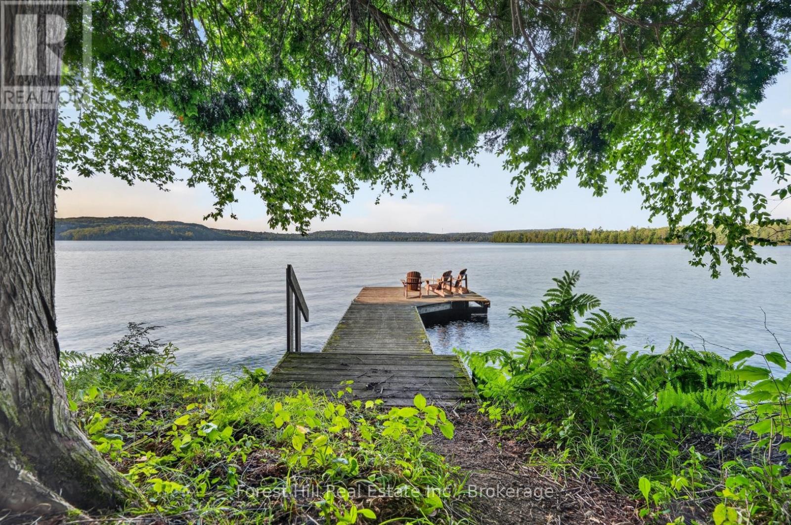 1110 Joseph Tapley Road, Lake Of Bays, Ontario  P0A 1H0 - Photo 4 - X13647530