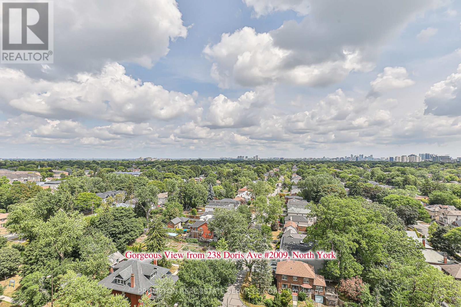 2009 - 238 Doris Avenue, Toronto, Ontario  M2N 6W1 - Photo 39 - C13647526