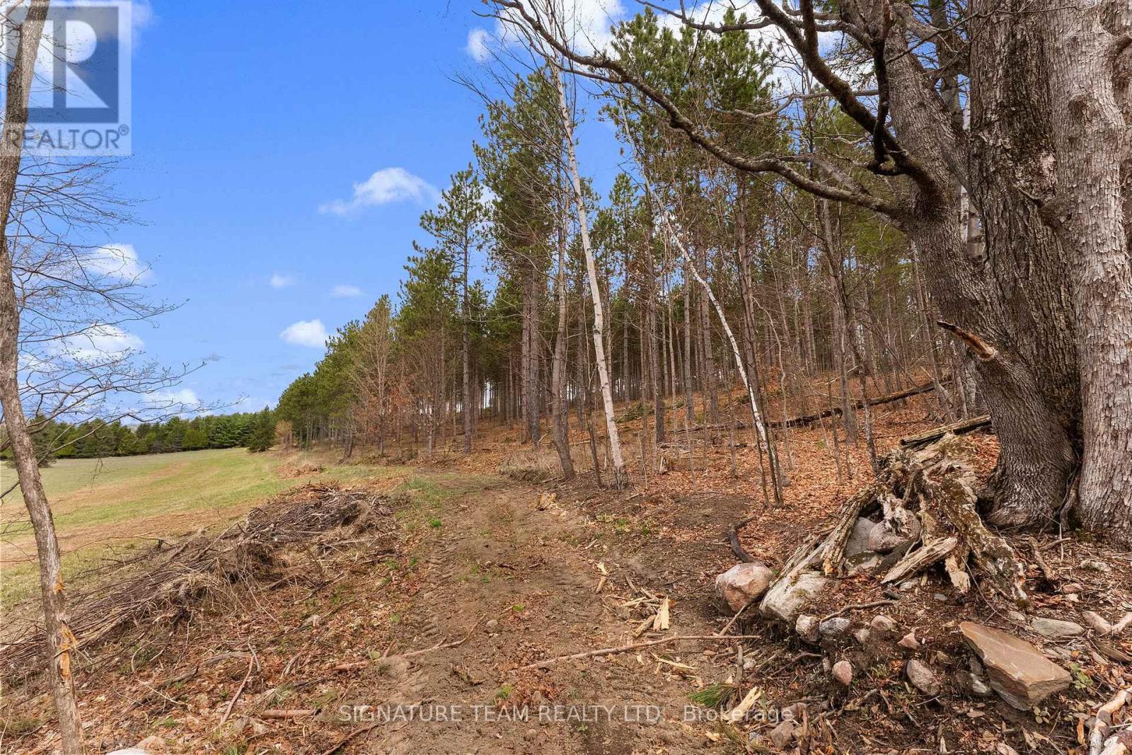 359 Dittburner Road, Whitewater Region, Ontario K0J 1V0 - Photo 16 - X13647648