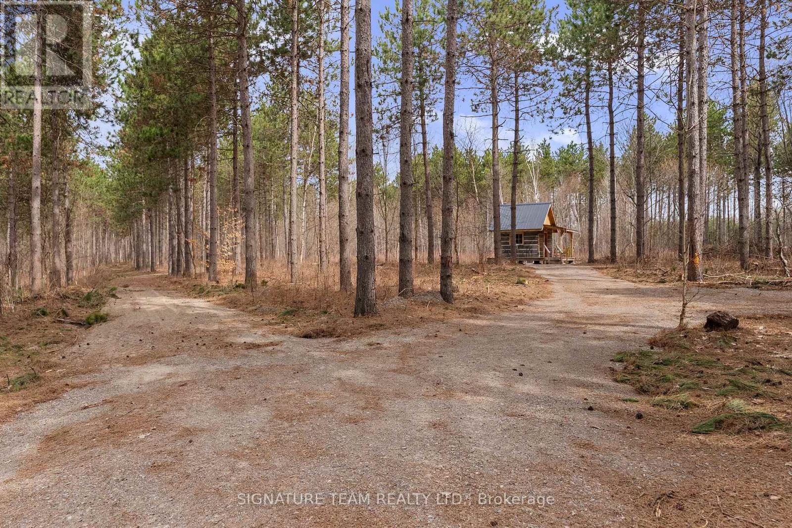 359 Dittburner Road, Whitewater Region, Ontario K0J 1V0 - Photo 19 - X13647648