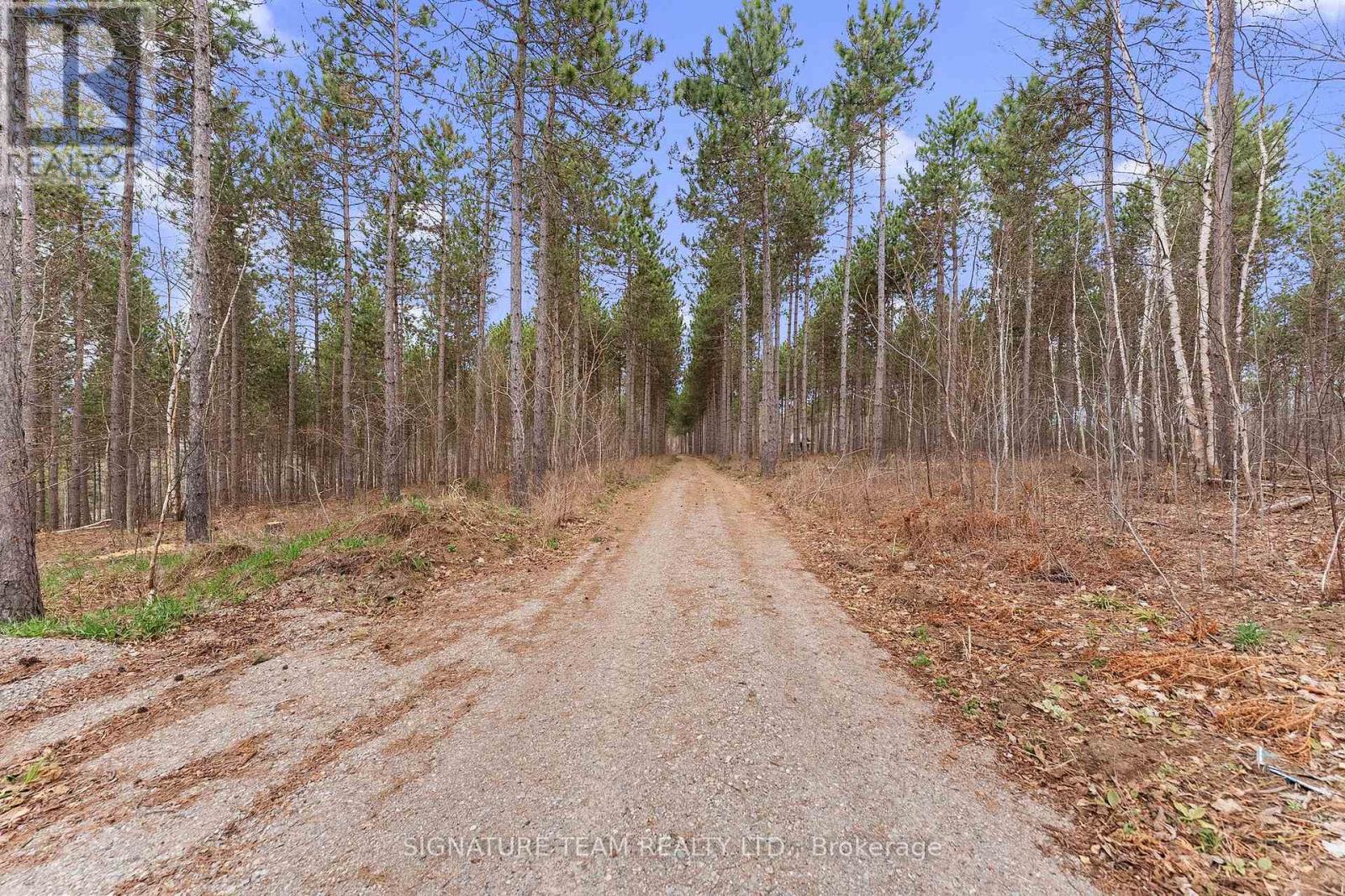 359 Dittburner Road, Whitewater Region, Ontario K0J 1V0 - Photo 21 - X13647648