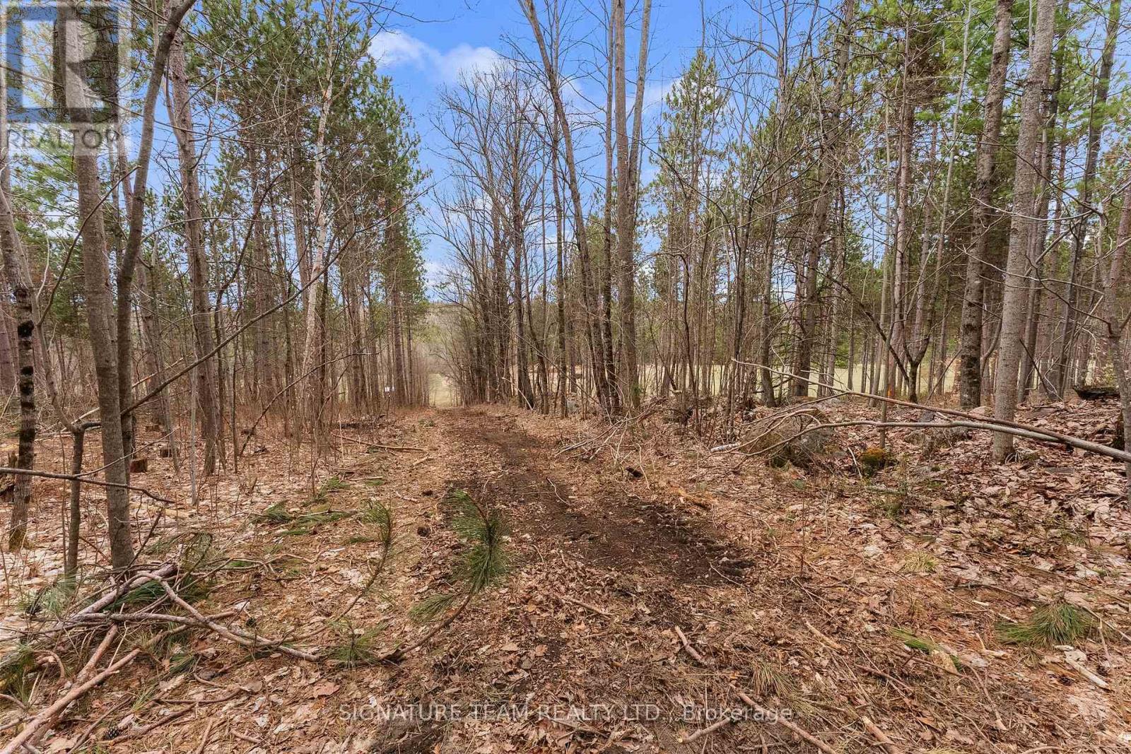 359 Dittburner Road, Whitewater Region, Ontario K0J 1V0 - Photo 22 - X13647648