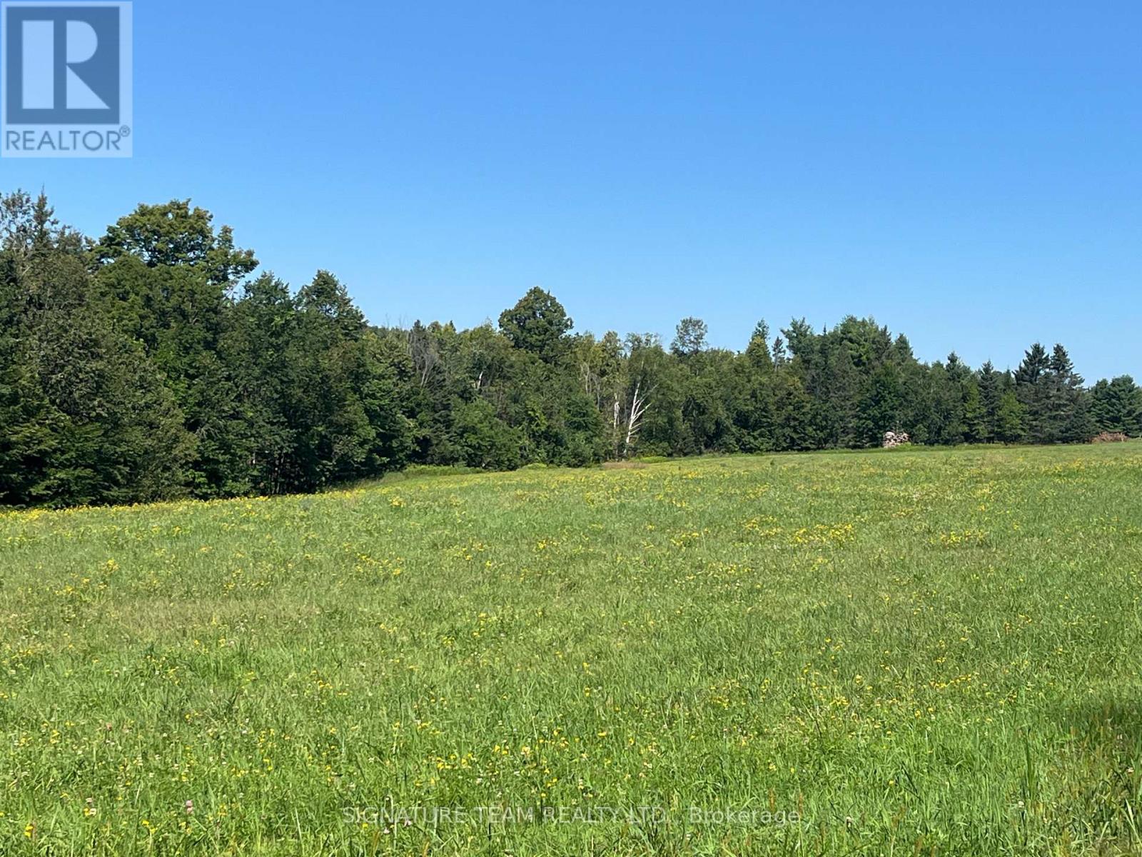 359 Dittburner Road, Whitewater Region, Ontario K0J 1V0 - Photo 30 - X13647648