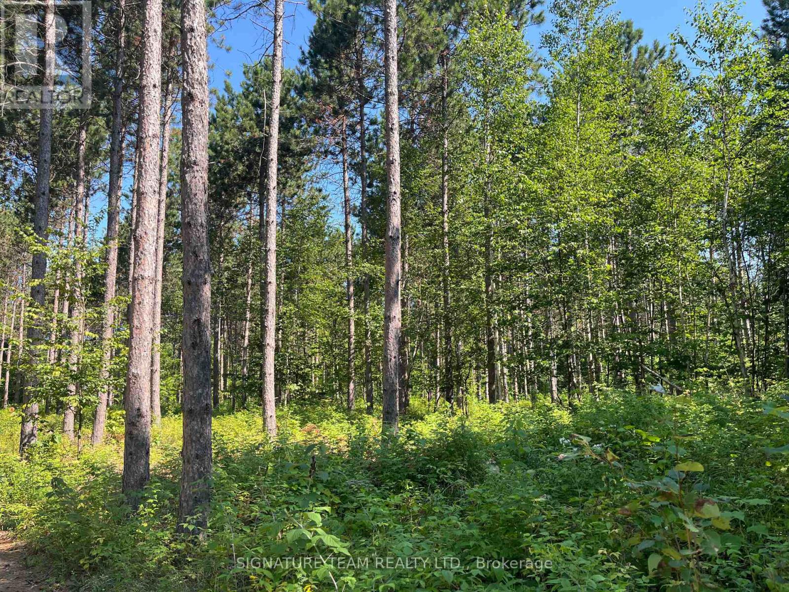 359 Dittburner Road, Whitewater Region, Ontario K0J 1V0 - Photo 32 - X13647648