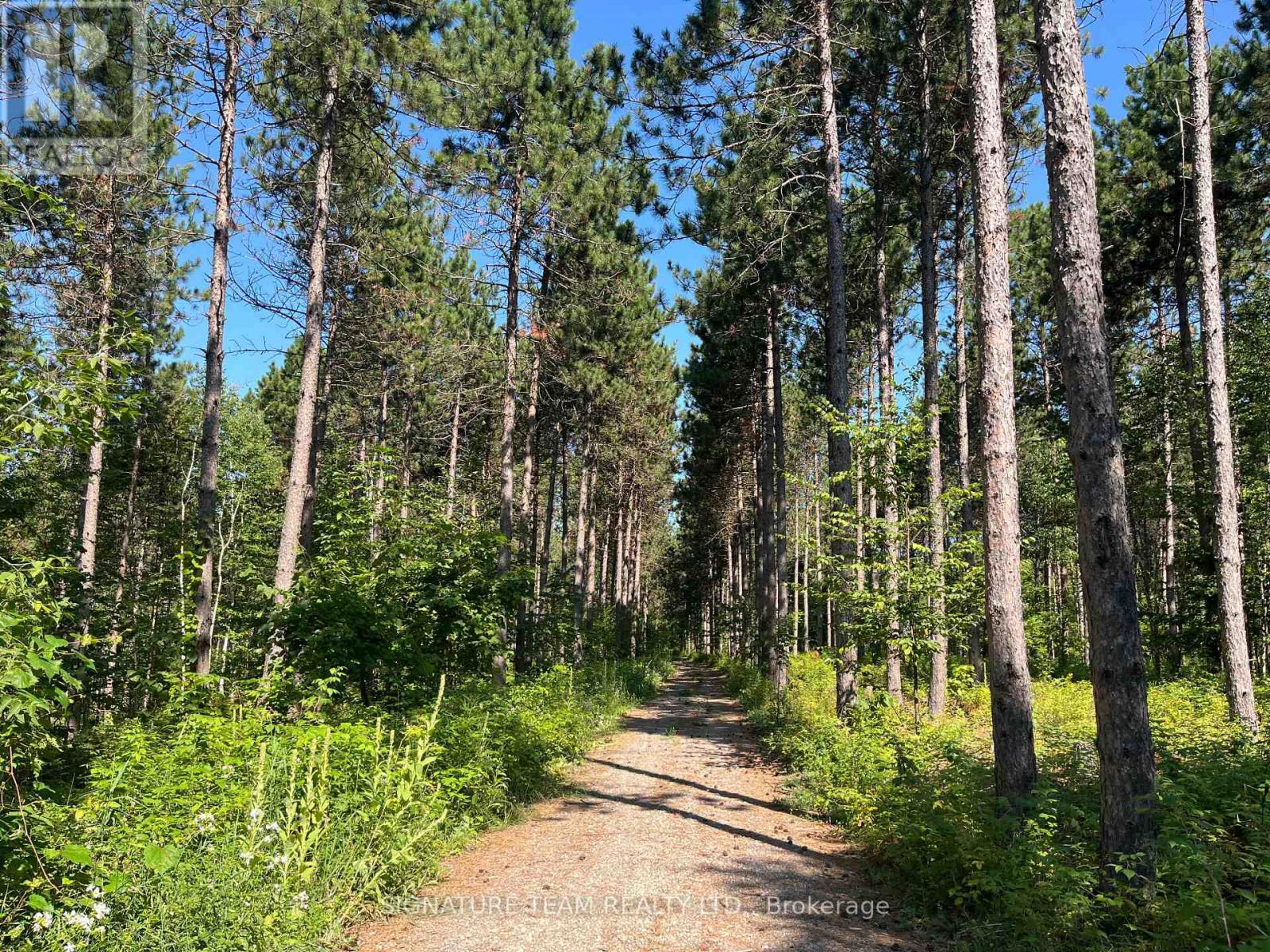 359 Dittburner Road, Whitewater Region, Ontario K0J 1V0 - Photo 33 - X13647648