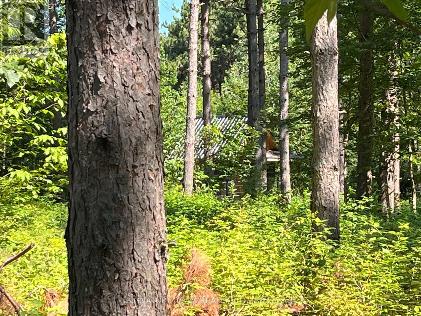 359 Dittburner Road, Whitewater Region, Ontario K0J 1V0 - Photo 35 - X13647648
