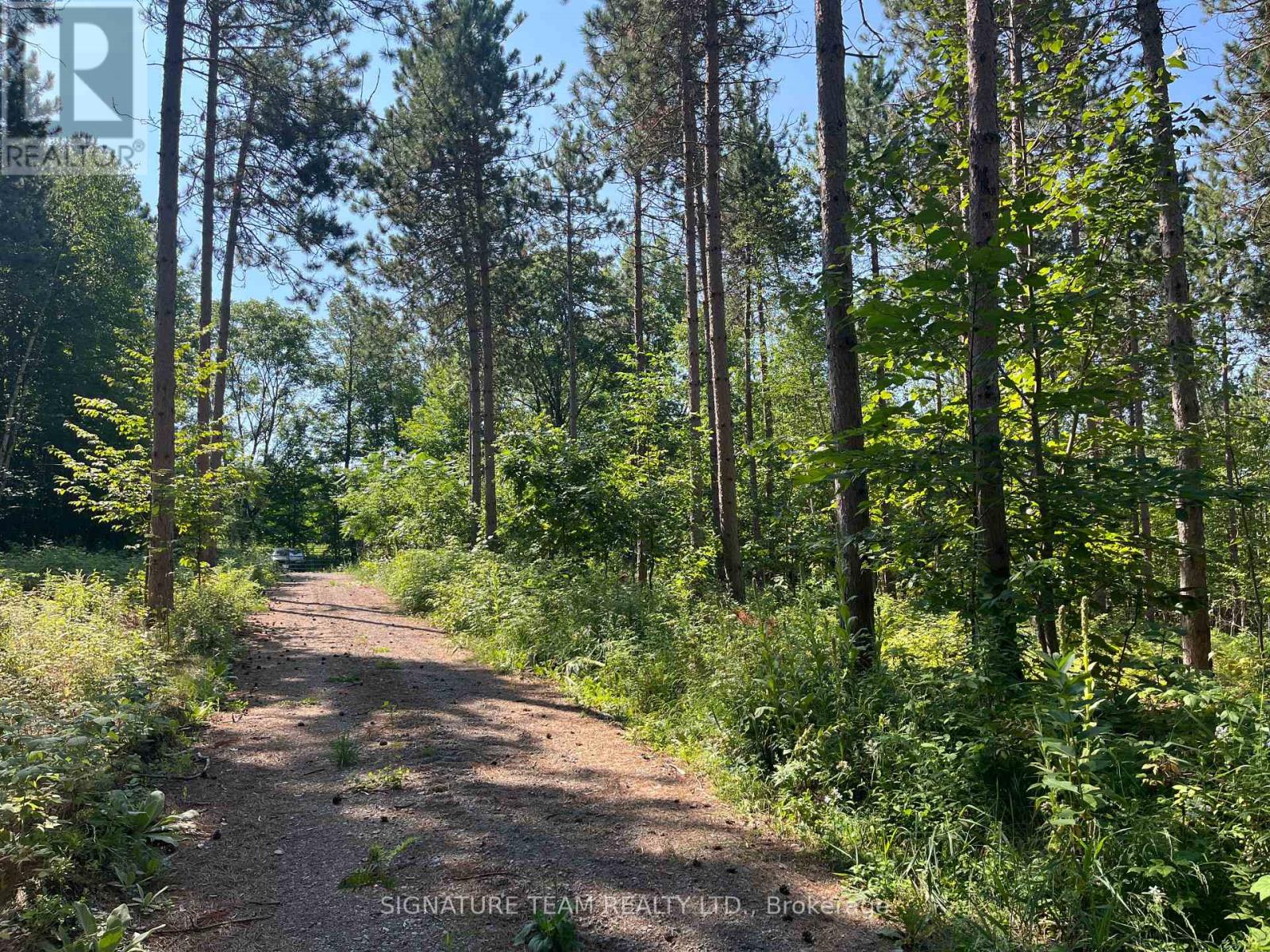 359 Dittburner Road, Whitewater Region, Ontario K0J 1V0 - Photo 36 - X13647648
