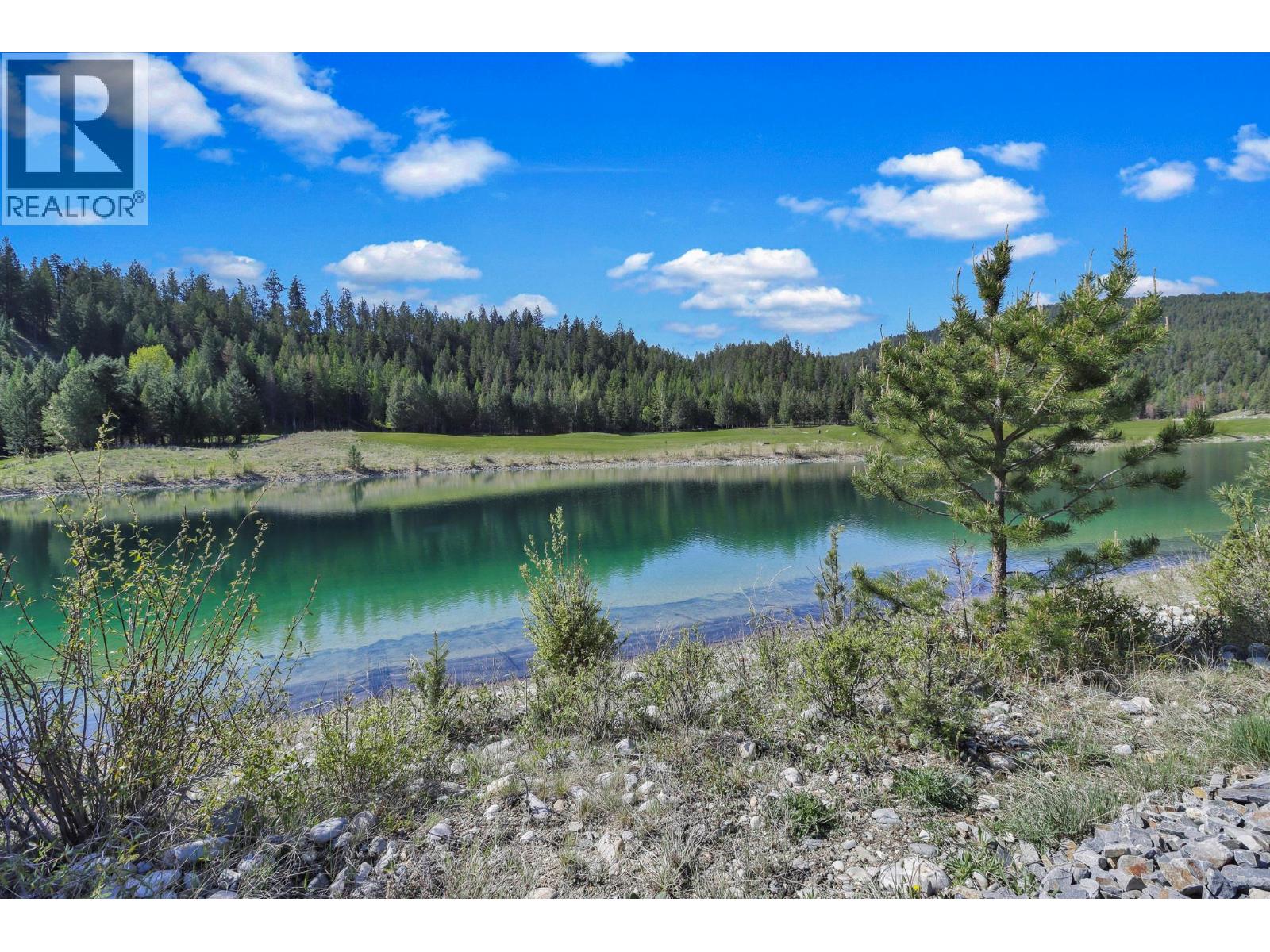 193 Shadow Mountain Boulevard, Cranbrook, British Columbia  V1C 0C6 - Photo 58 - 10388197