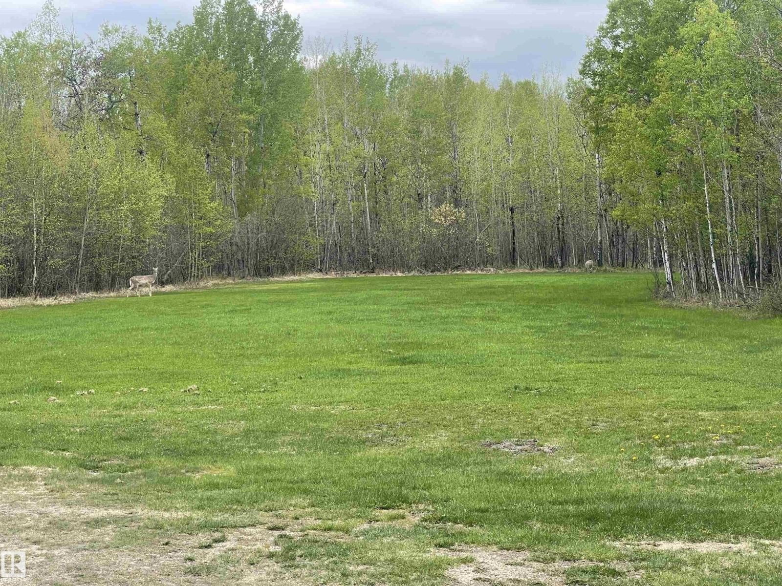 57318 Rge Rd 25, Rural Barrhead County, Alberta  T0E 1A0 - Photo 26 - E4490517