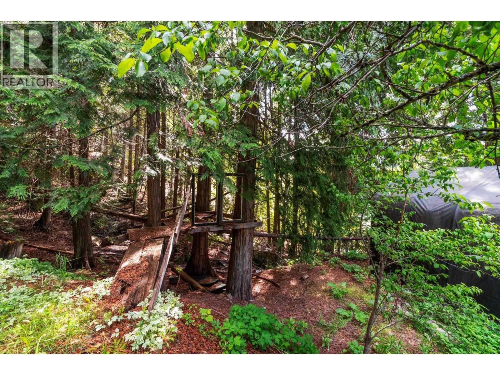 5773 Sunnybrae Canoe Point Road, Tappen, British Columbia  V0E 2X1 - Photo 78 - 10386387