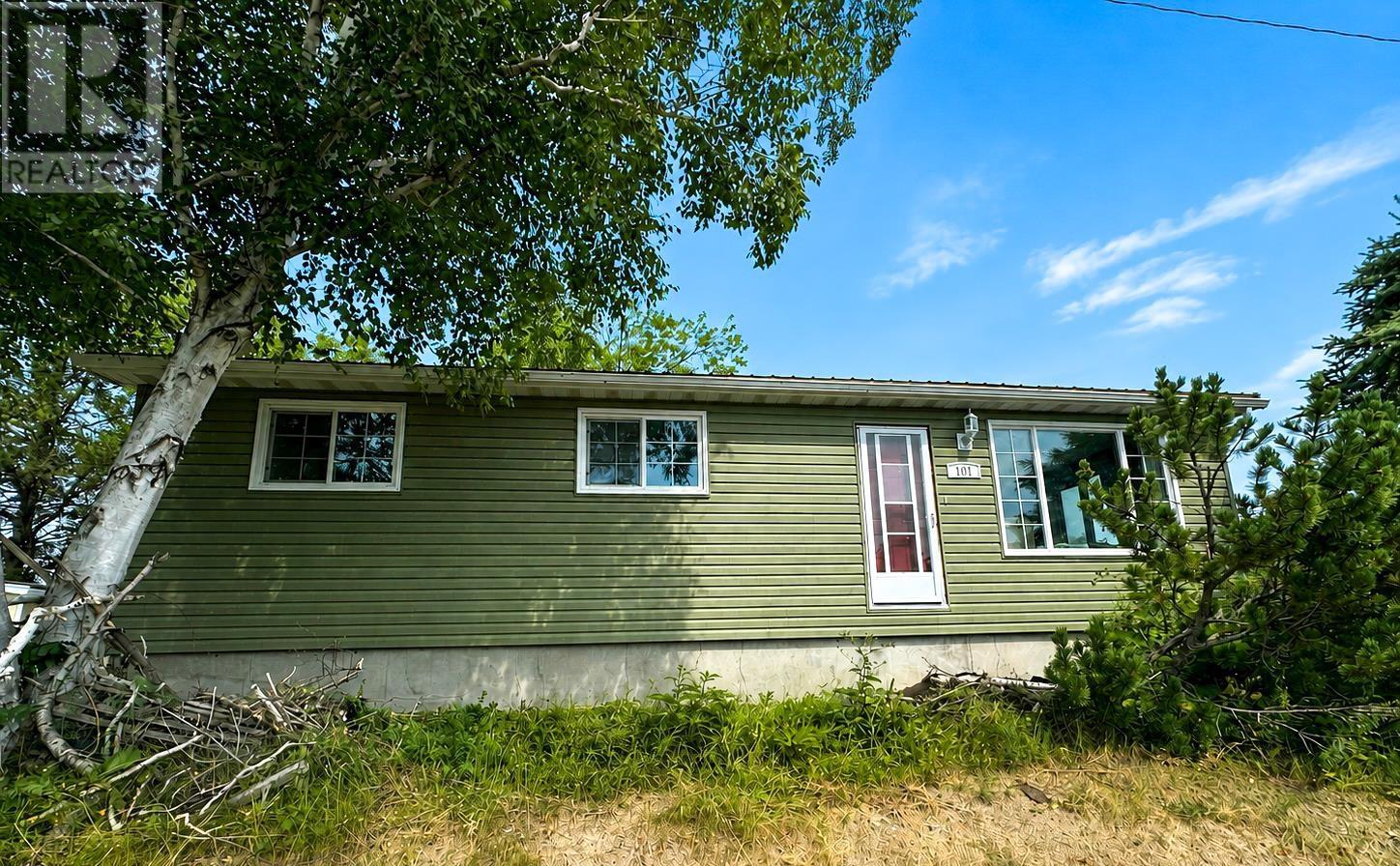 101 Detta RD, Balmertown, Ontario