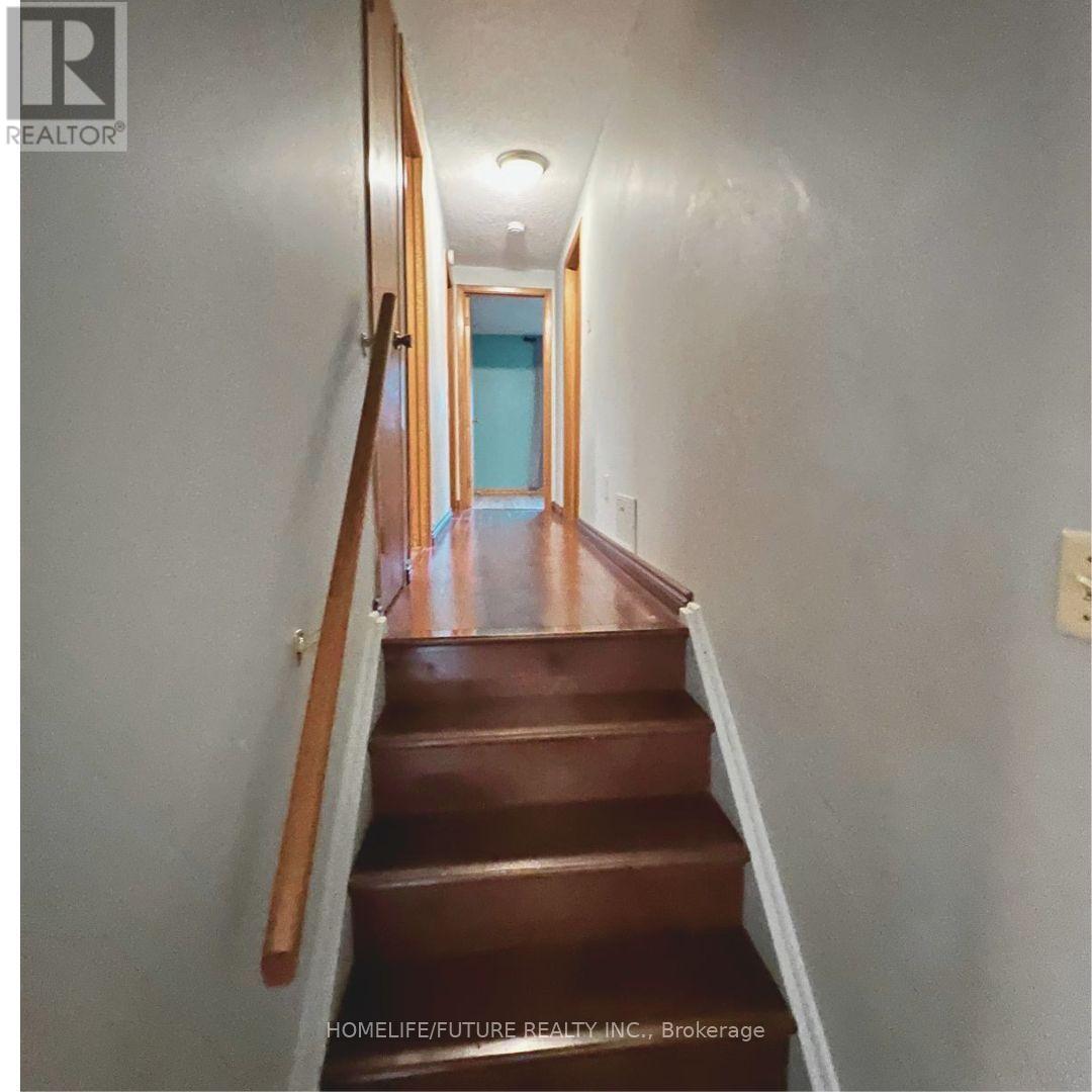 Main - 48 Blacktoft Drive, Toronto (Rouge), Ontario  M1B 2M6 - Photo 3 - E13648050
