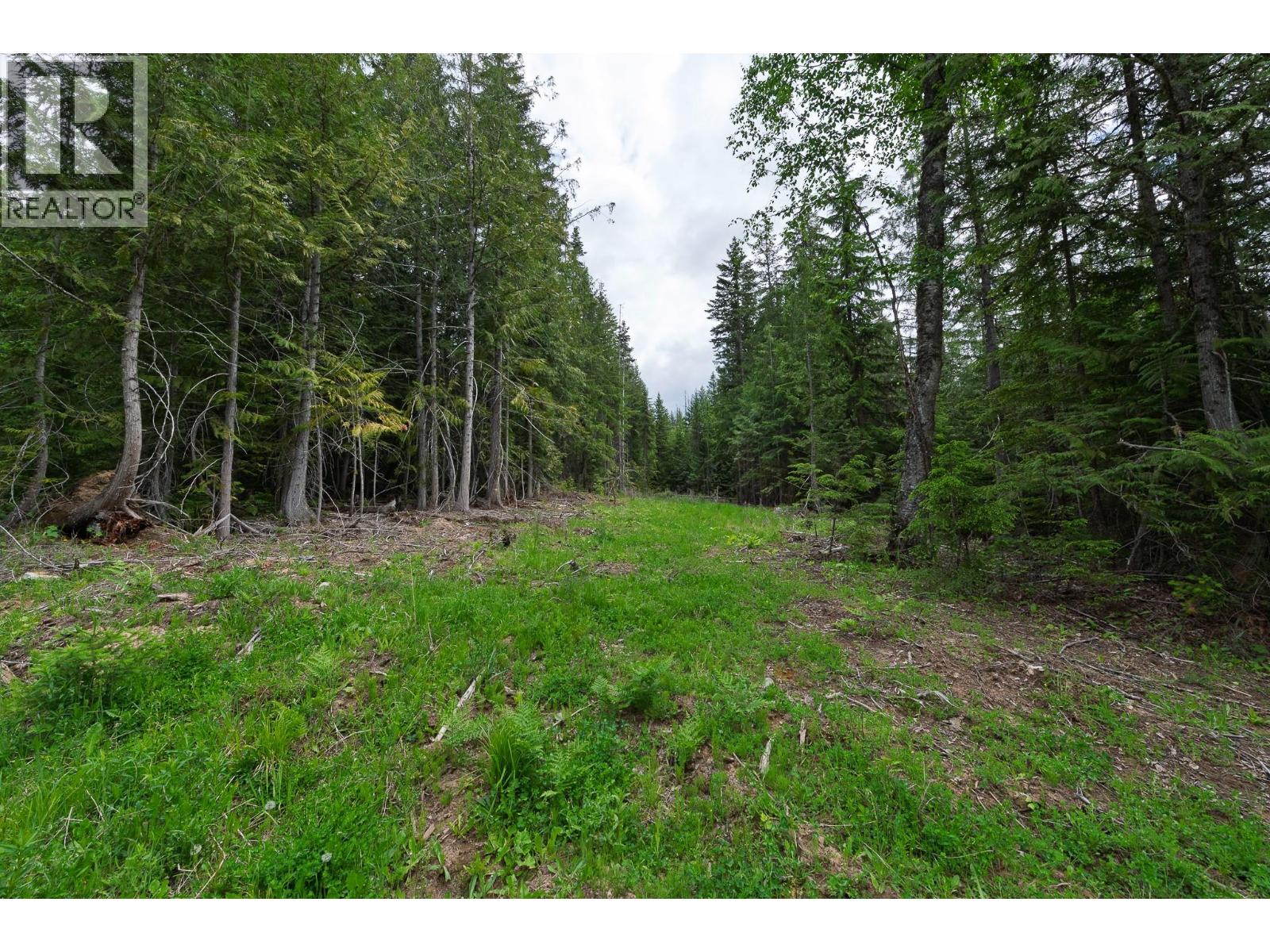 Lot 22 Lakeview Arrowcreek Road, Wynndel, British Columbia  V0B 3N0 - Photo 14 - 10386069
