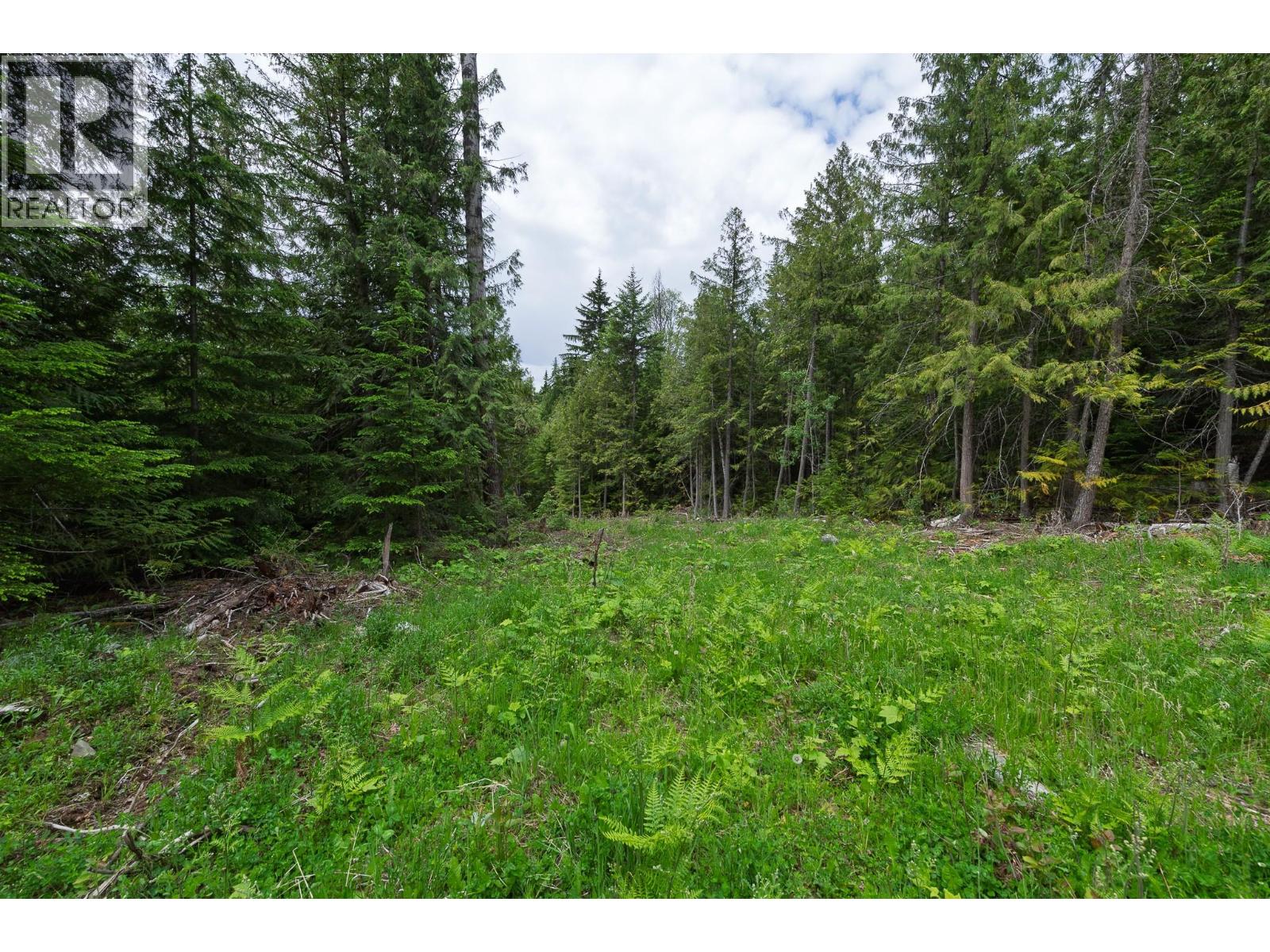 Lot 22 Lakeview Arrowcreek Road, Wynndel, British Columbia  V0B 3N0 - Photo 15 - 10386069