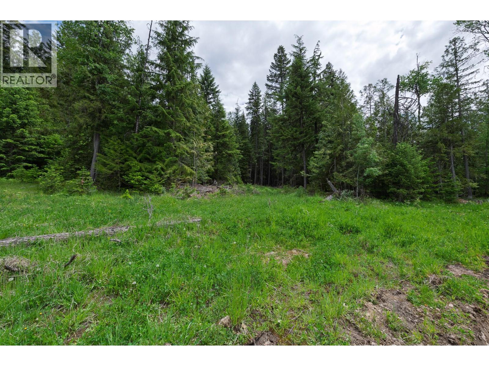 Lot 22 Lakeview Arrowcreek Road, Wynndel, British Columbia  V0B 3N0 - Photo 4 - 10386069