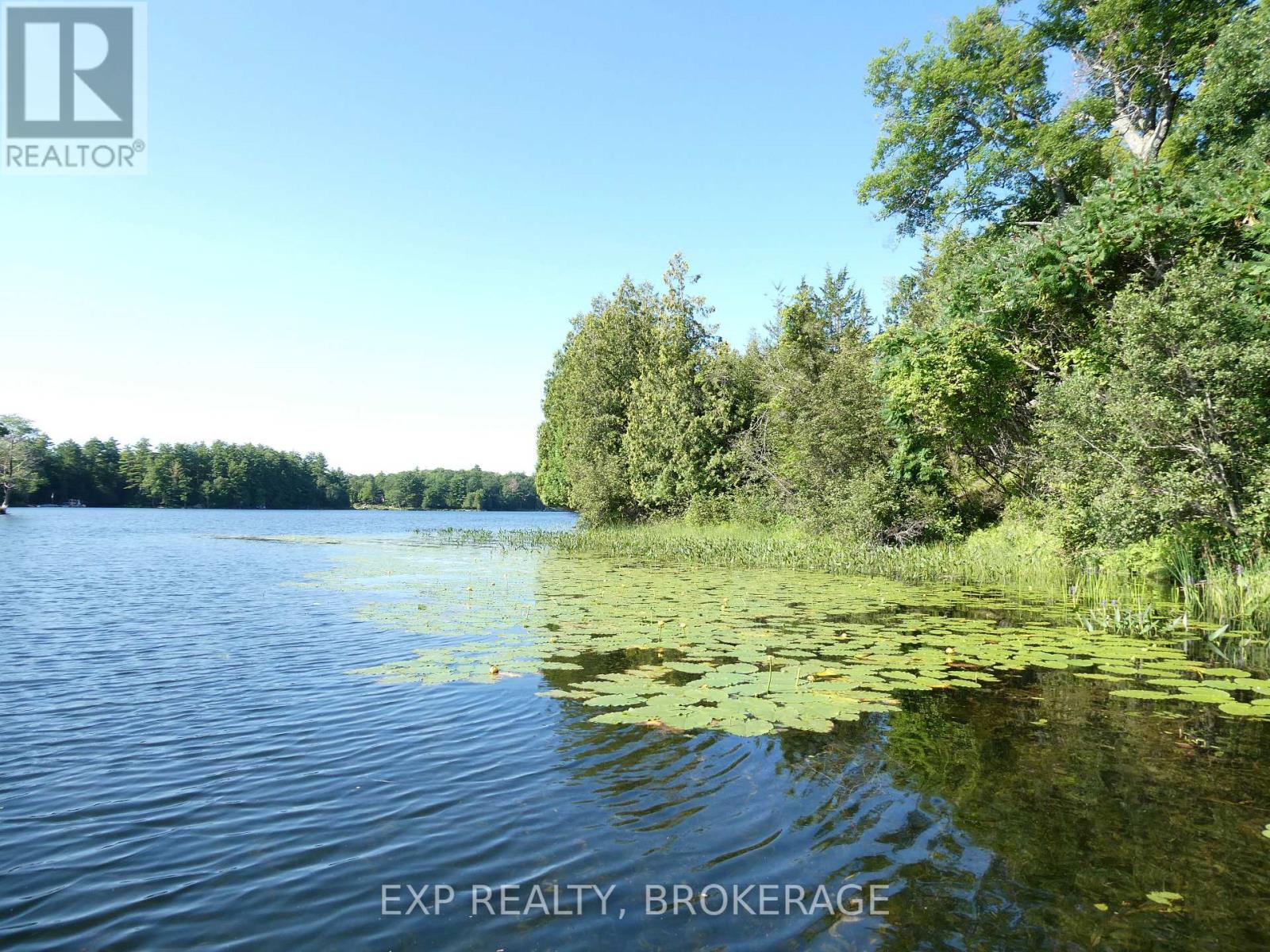 Pt Lt 5 Con 4 James Wilson Road, Frontenac, Ontario  K0H 1W0 - Photo 13 - X13115170