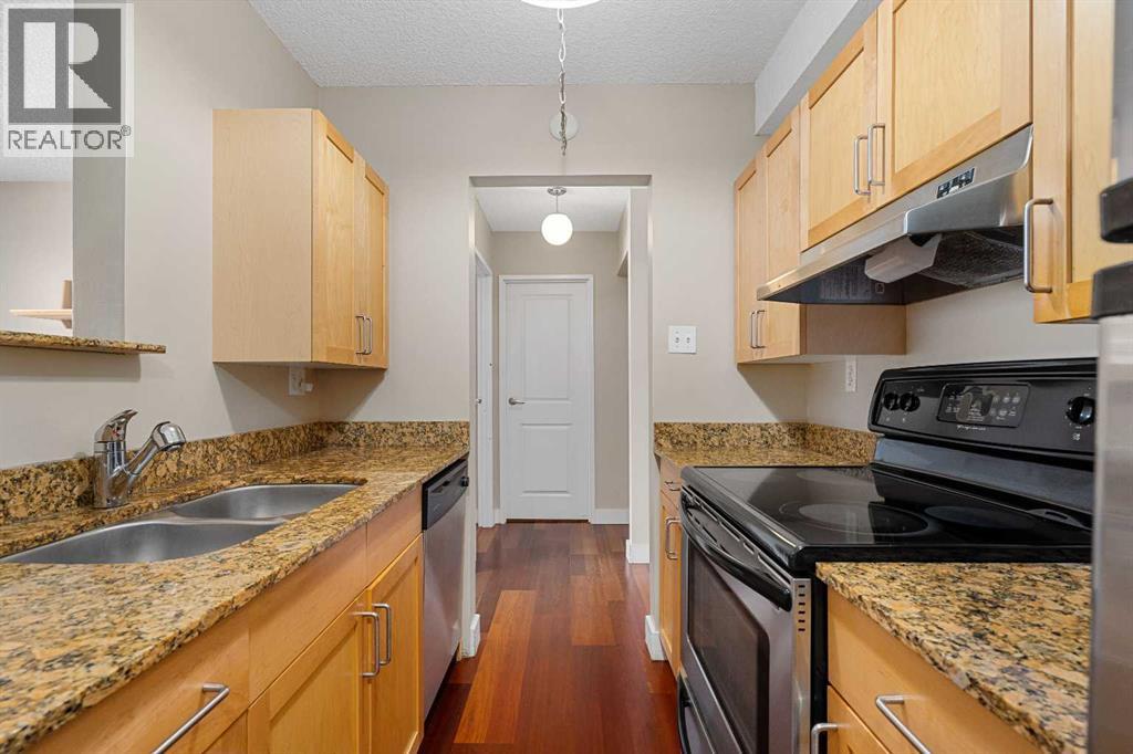 #404, 315 9a Street NW, Calgary, Alberta  T2N 1T7 - Photo 2 - A2335308