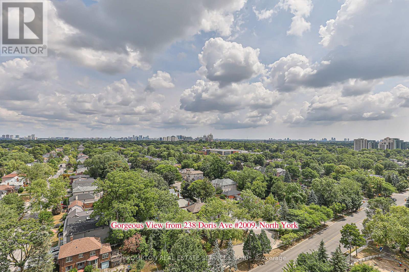 2009 - 238 Doris Avenue, Toronto, Ontario  M2N 6W1 - Photo 16 - C13647526