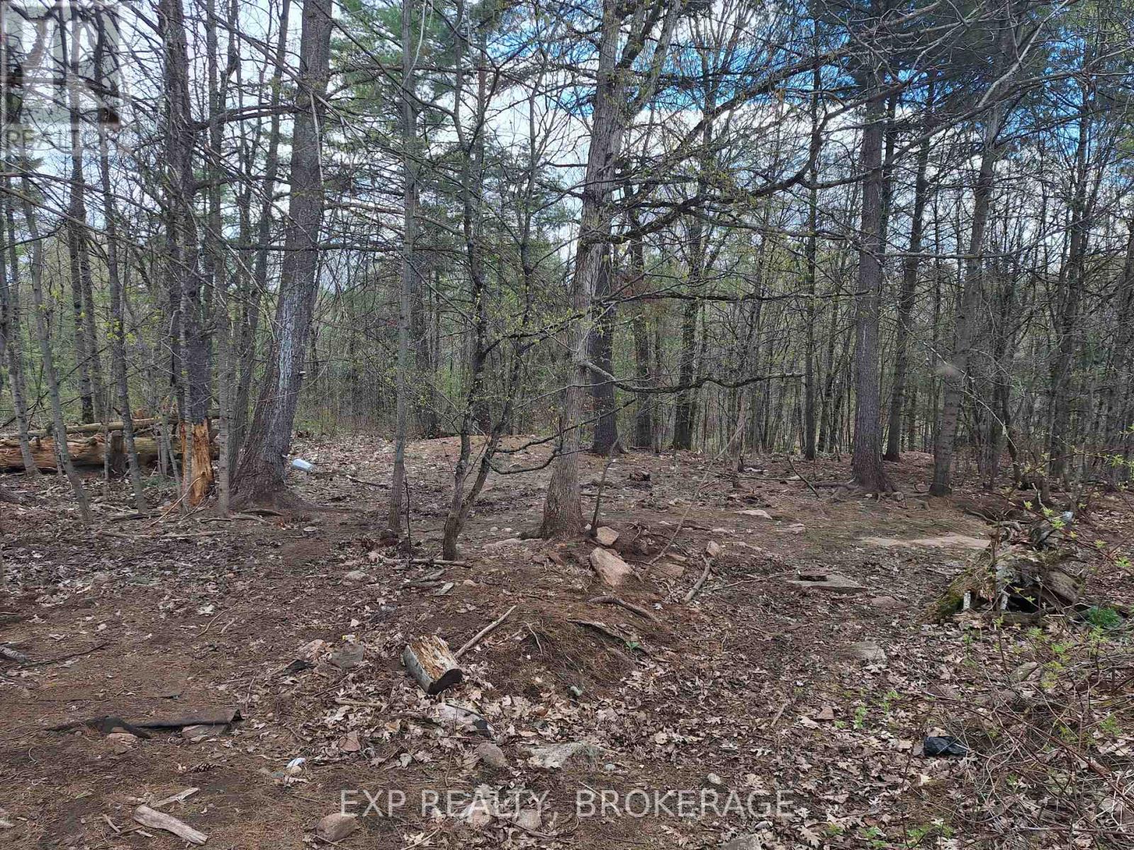 2100 Mclean Road, Frontenac, Ontario  K0H 2K0 - Photo 30 - X13648534