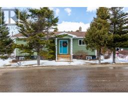 1 Esau Spurrells Lane, New Wes Valley, Newfoundland & Labrador