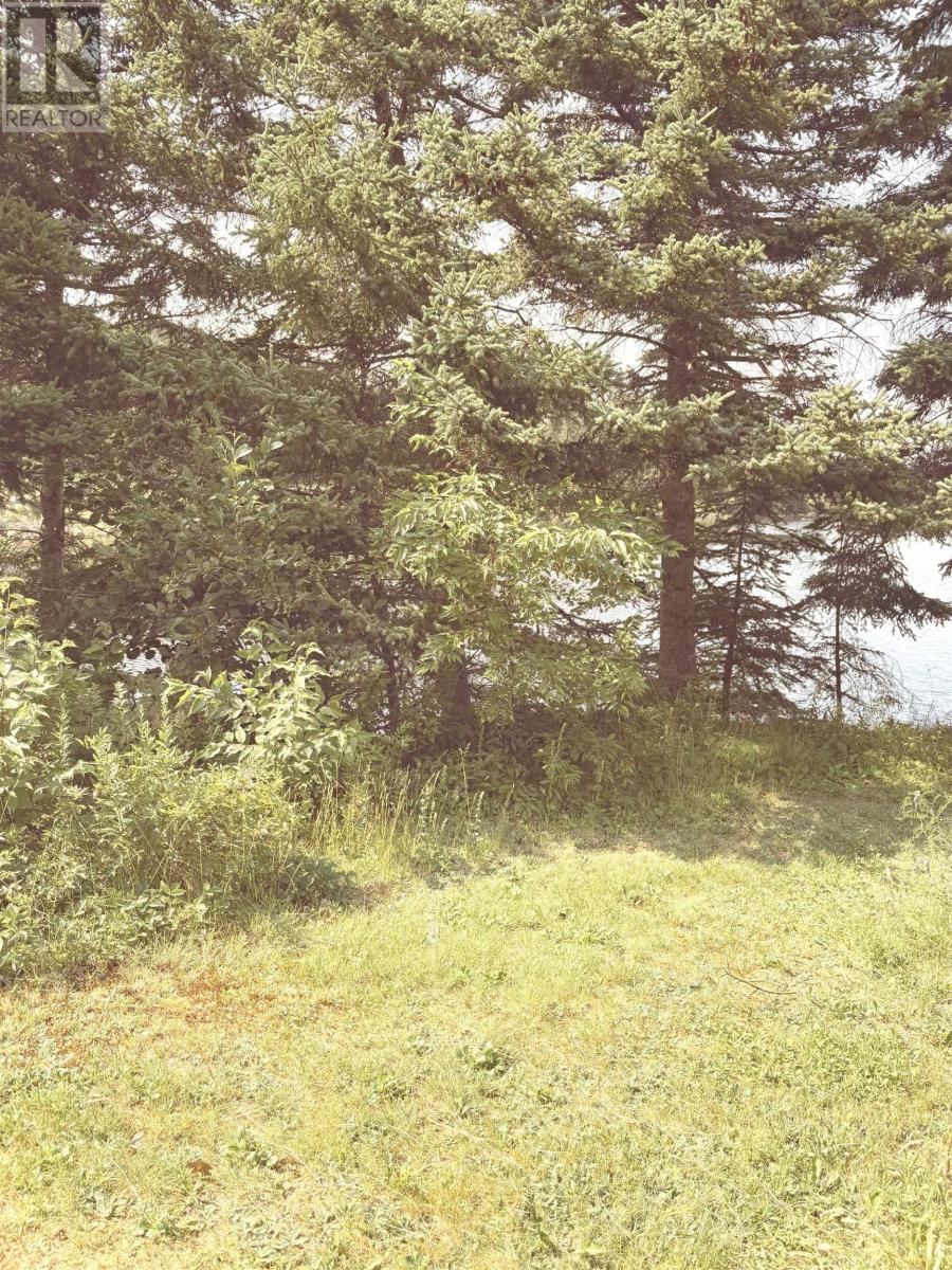 picture 24