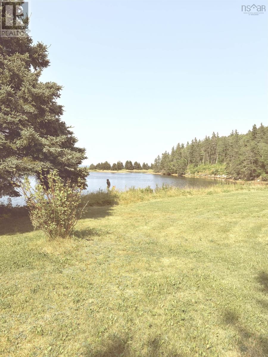 picture 25
