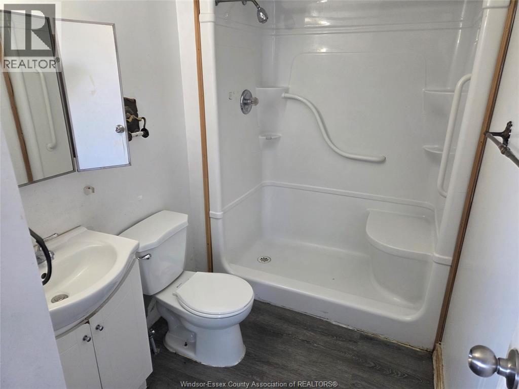 393 Newbury Street, Windsor, Ontario  N9A 6A1 - Photo 12 - 26019094