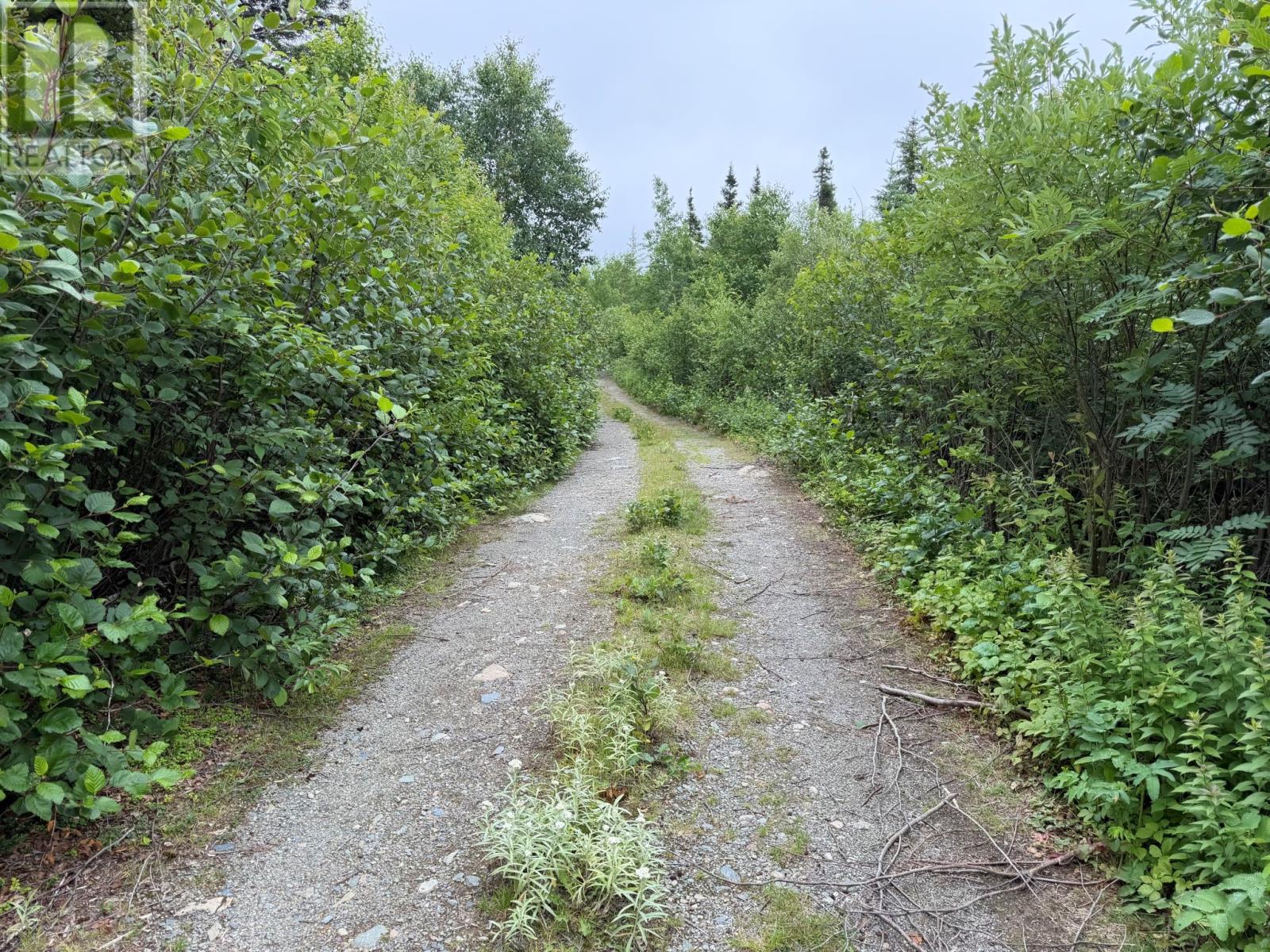 0 Main Street, Dog Bay, Newfoundland & Labrador A0G 3R0 - Photo 4 - 1299404