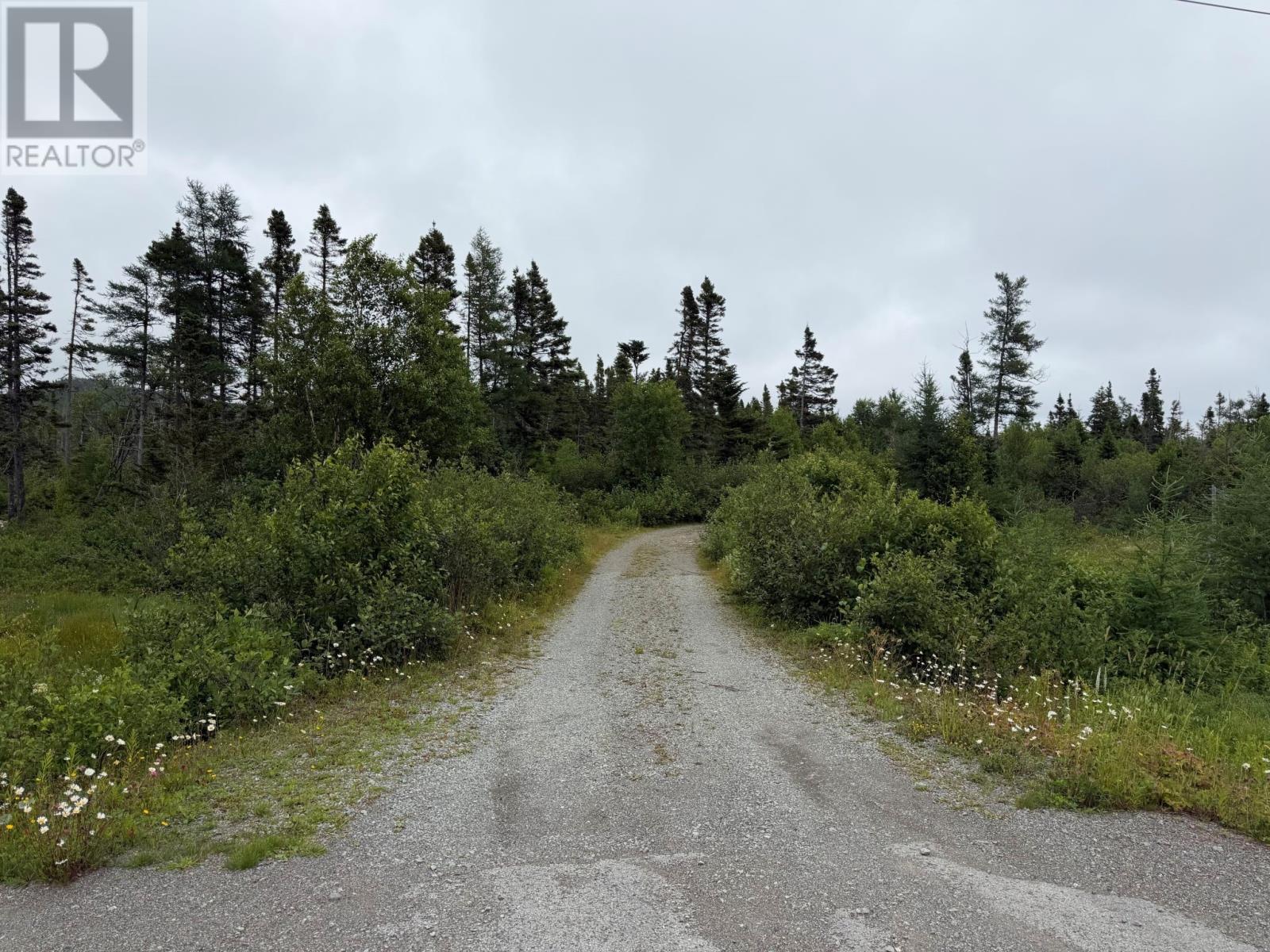 0 Main Street, Dog Bay, Newfoundland & Labrador A0G 3R0 - Photo 2 - 1299404